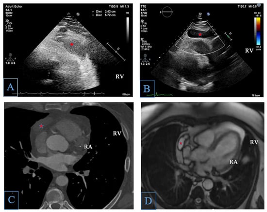 Diagnostics 15 03227 g001