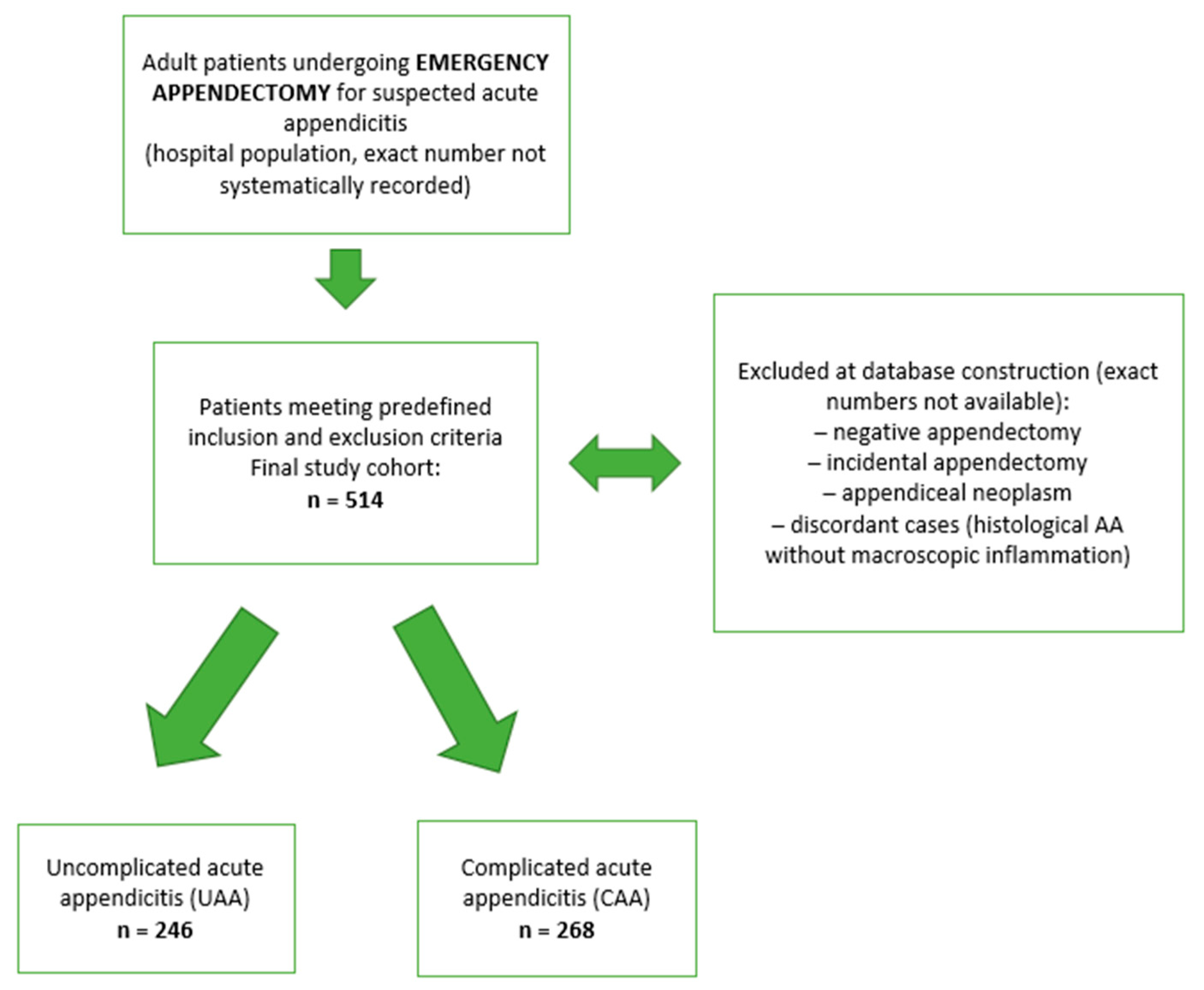 Diagnostics 16 00021 g001