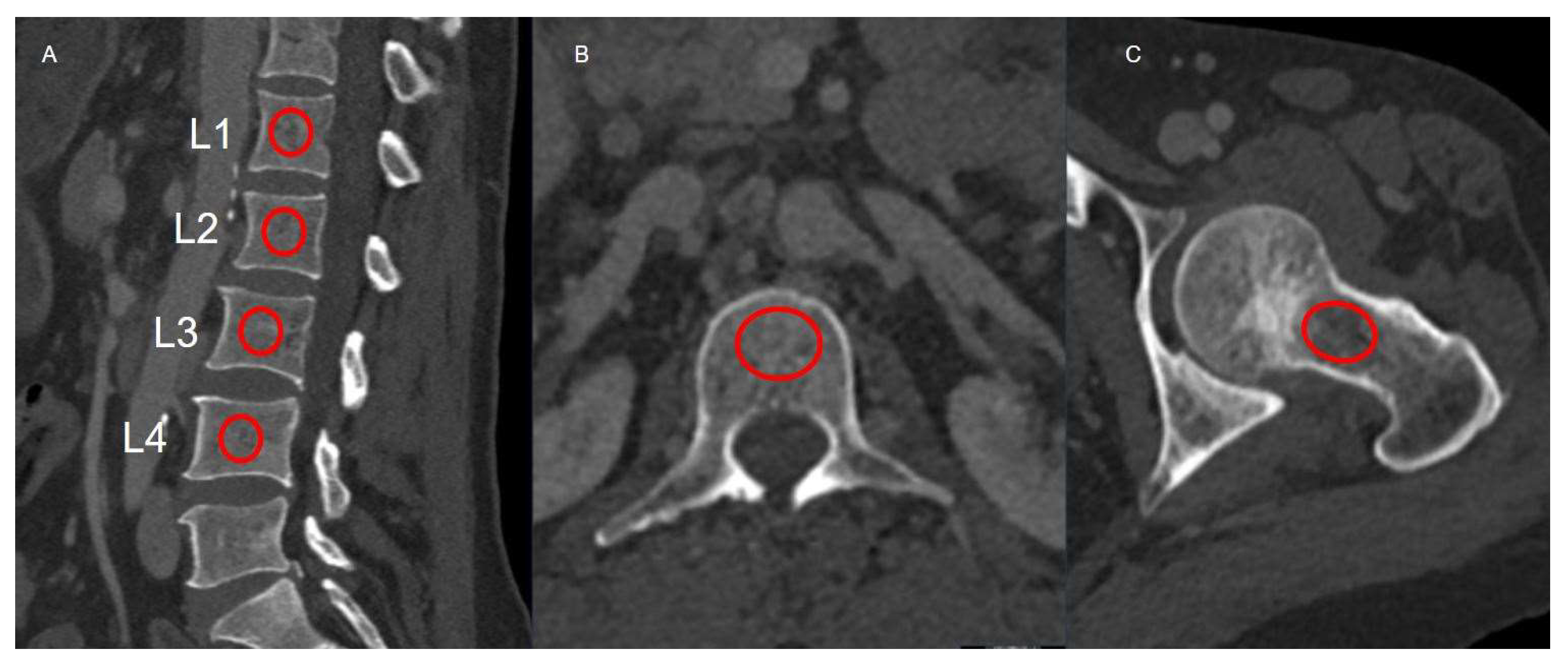 Diagnostics 16 00029 g001 Diagnostics 16 00029 g001