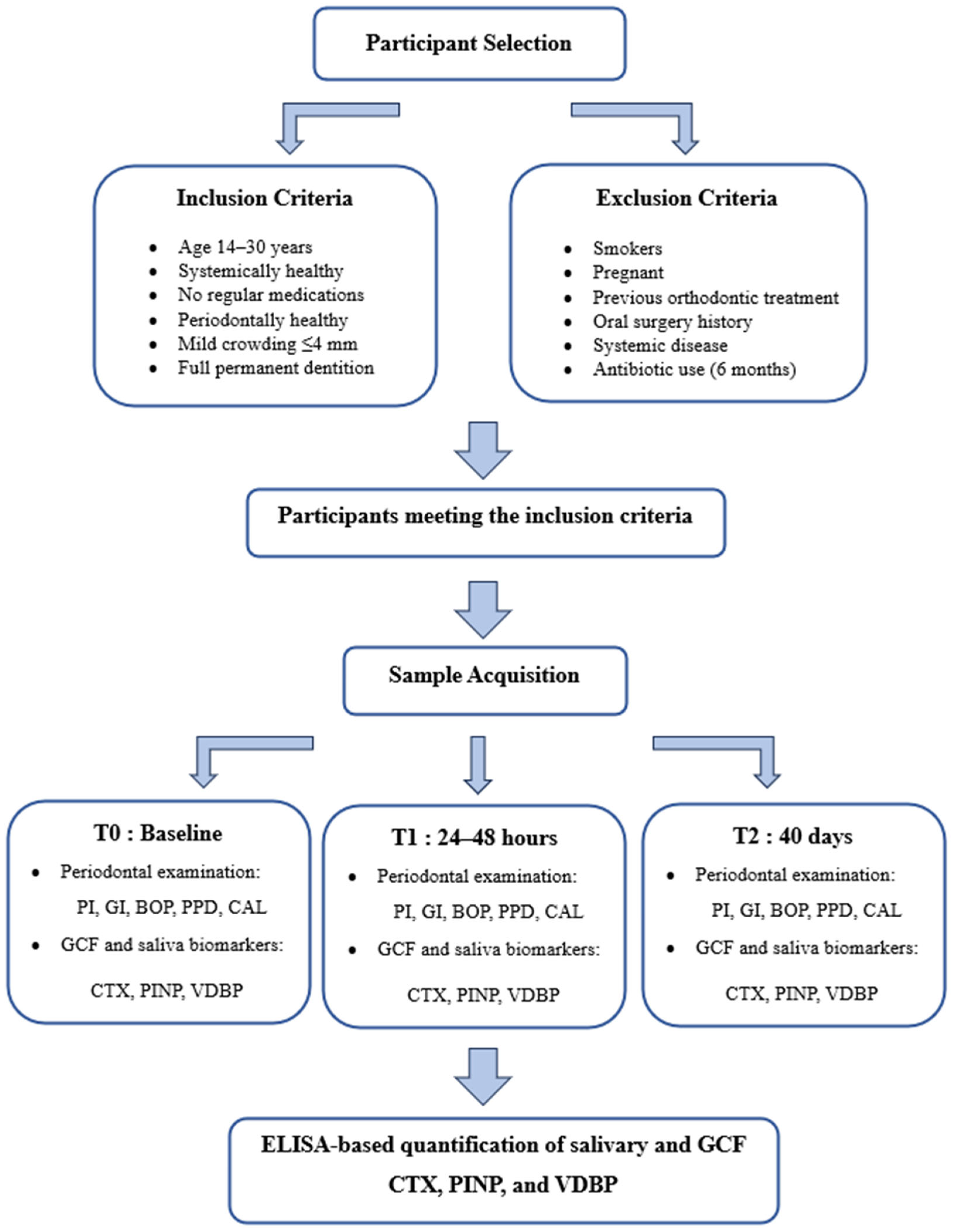 Diagnostics 16 00030 g001 Diagnostics 16 00030 g001