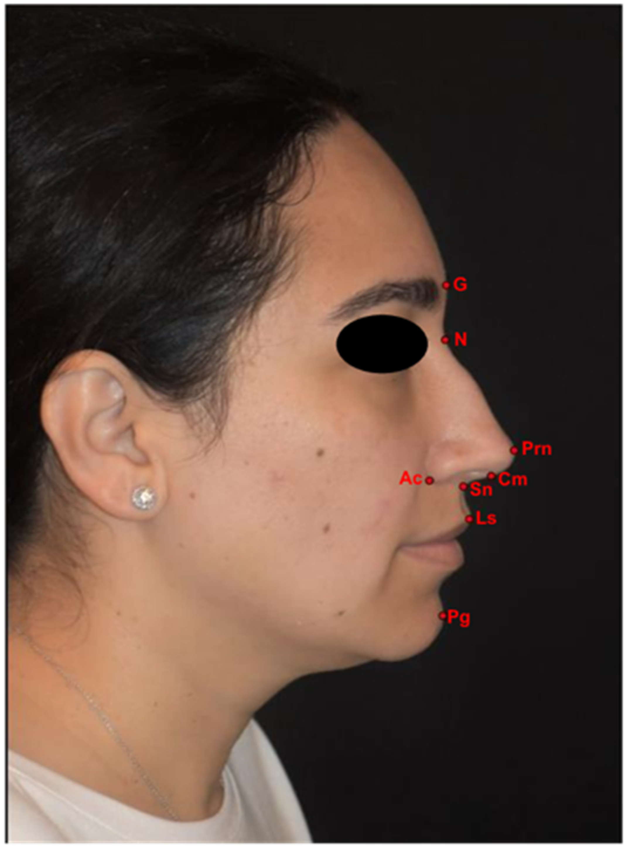 Diagnostics 16 00033 g001