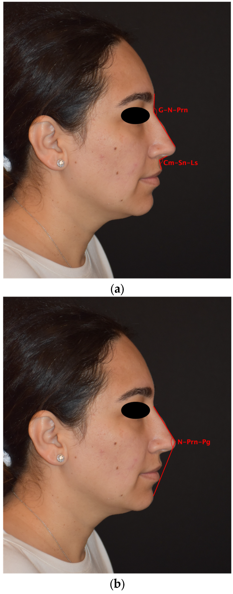 Diagnostics 16 00033 g002