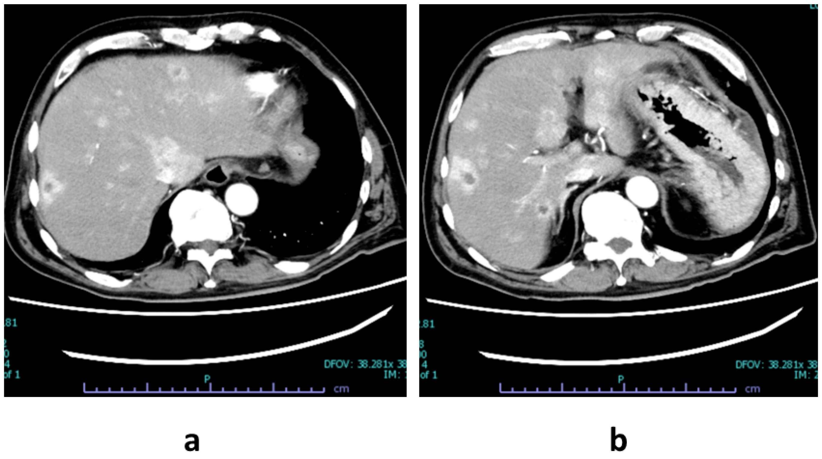 Diagnostics 16 00037 g001