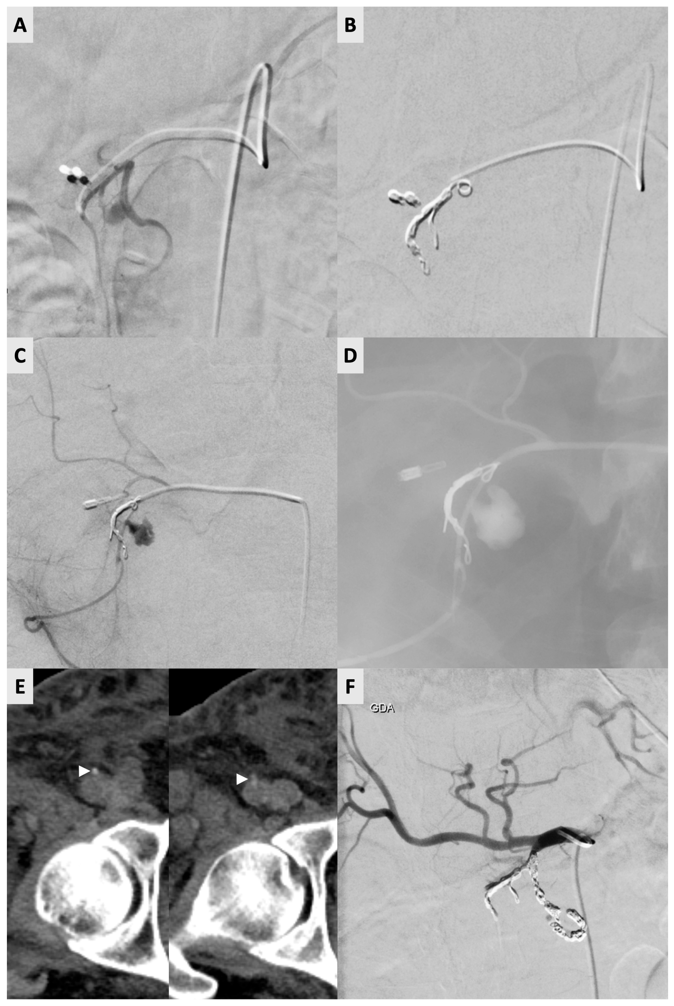 Diagnostics 16 00040 g001