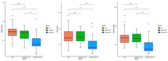 Diagnostics 16 00041 g001