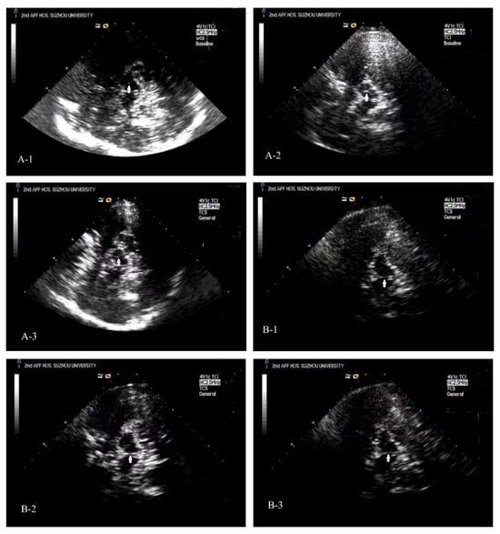 Diagnostics 16 00041 g002
