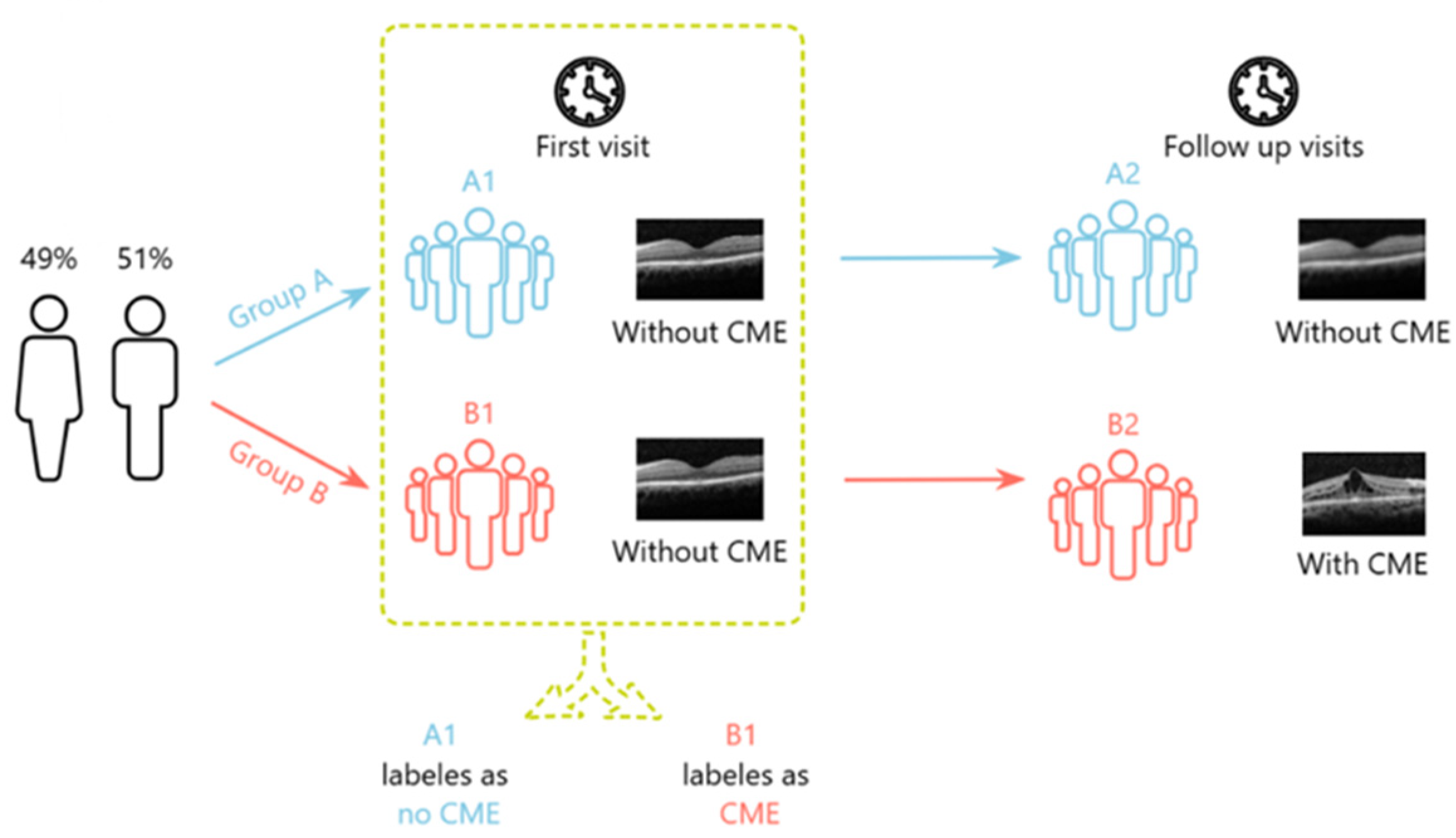 Diagnostics 16 00046 g001