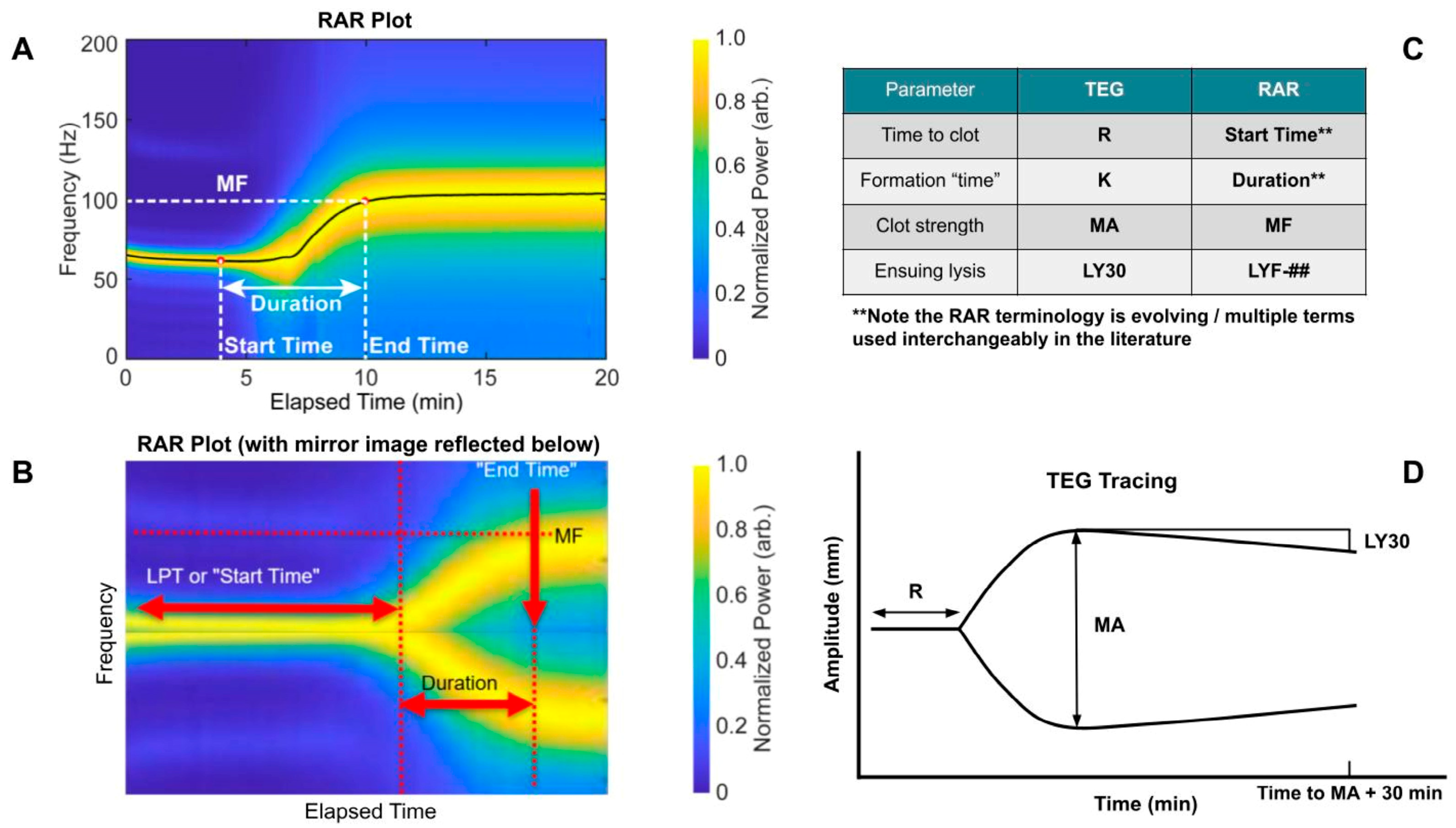 Diagnostics 16 00047 g001