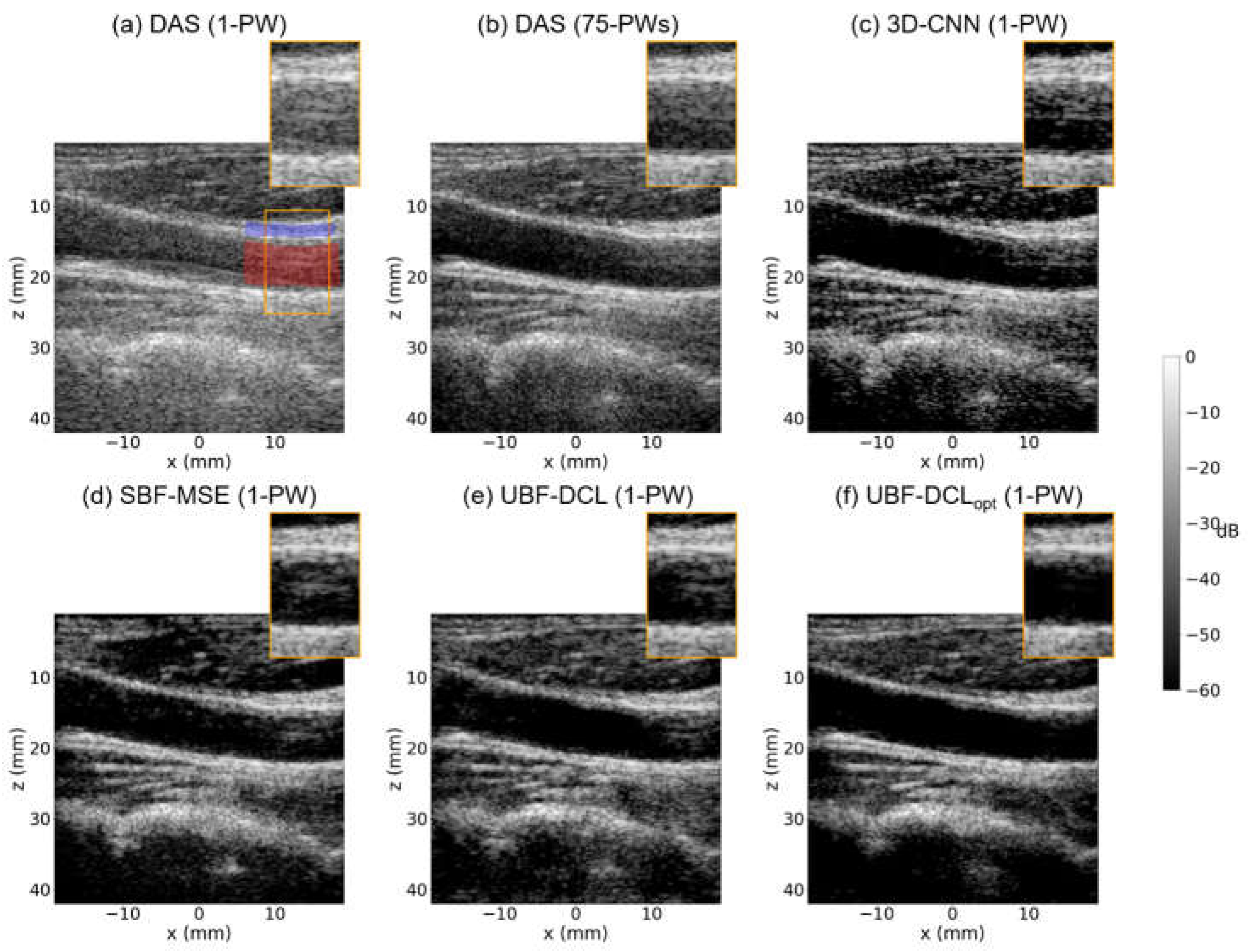 Diagnostics 16 00058 g007 Diagnostics 16 00058 g007
