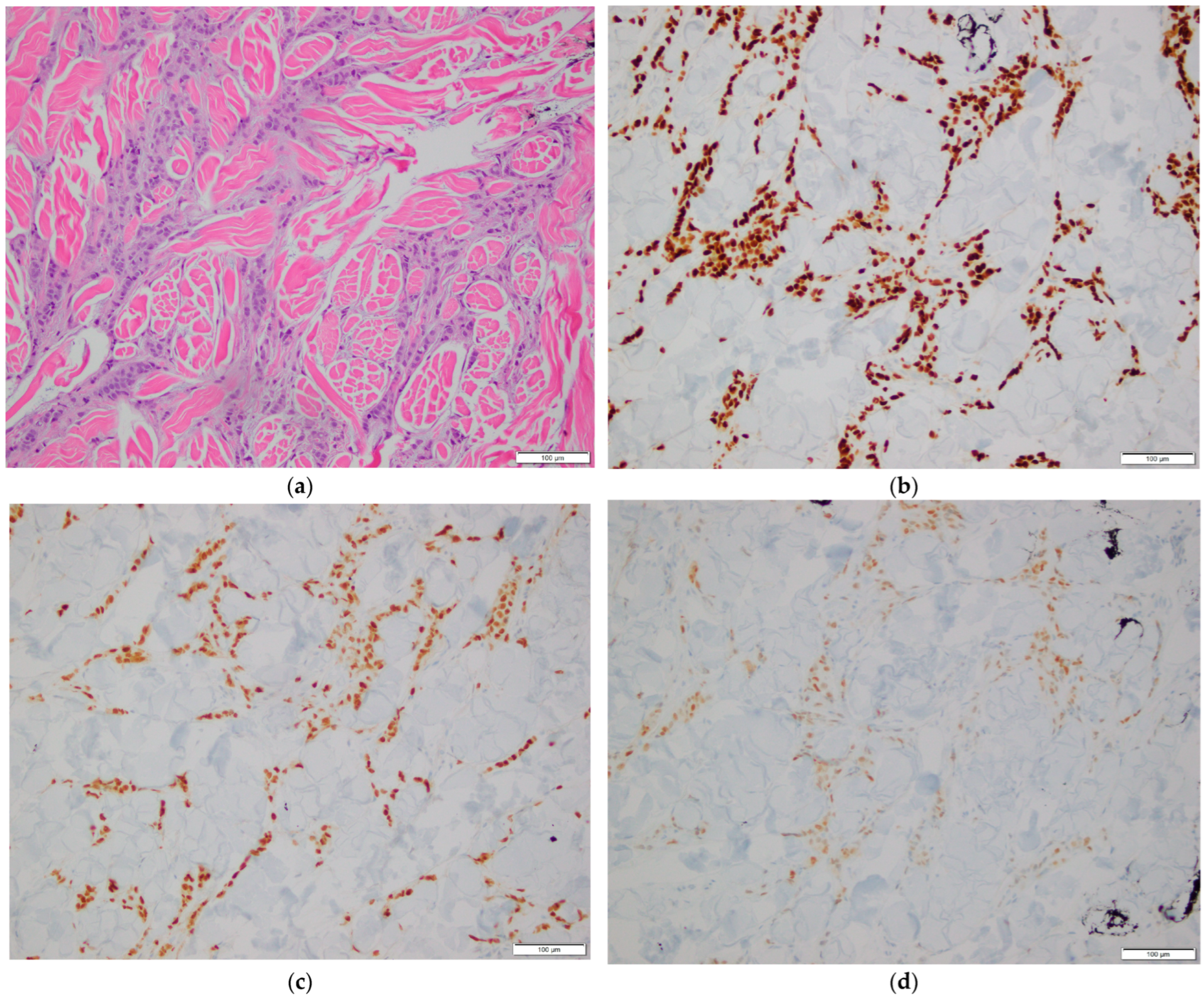 Diagnostics 16 00071 g001