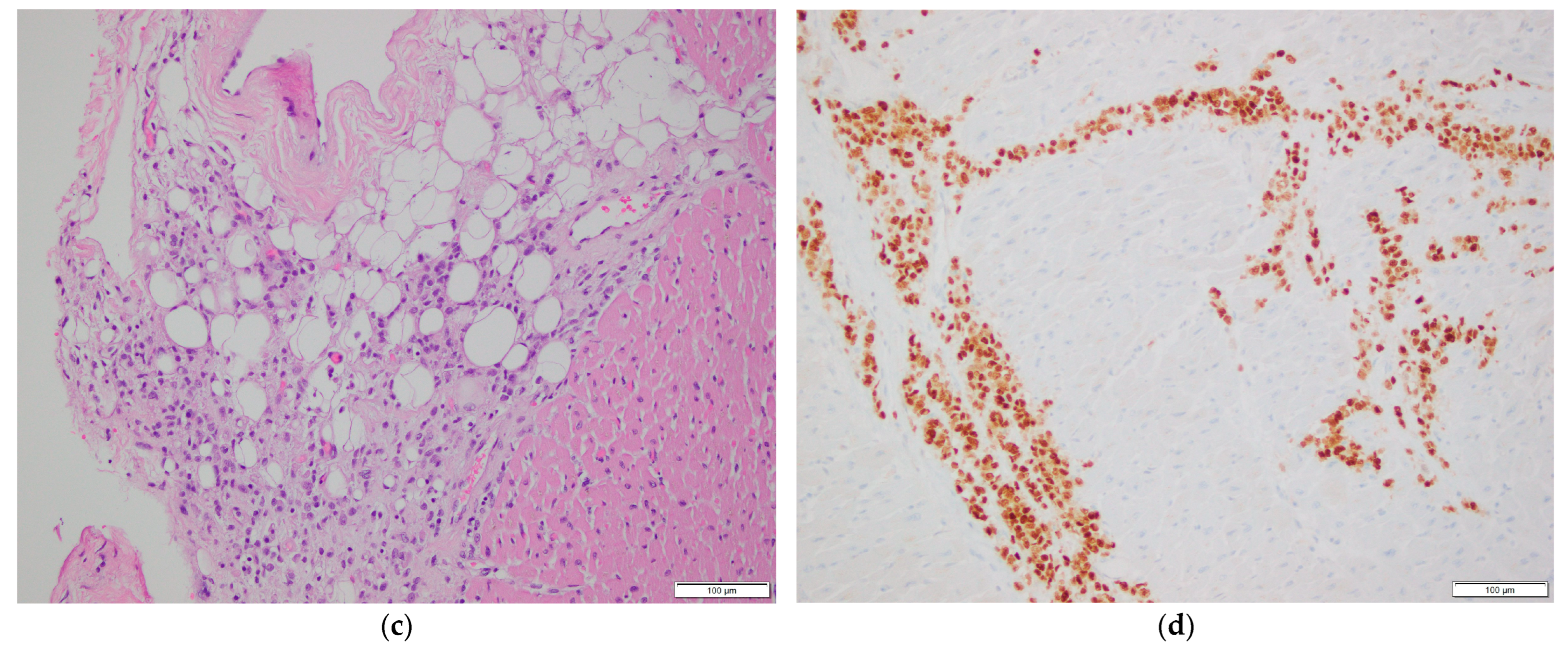 Diagnostics 16 00071 g002b