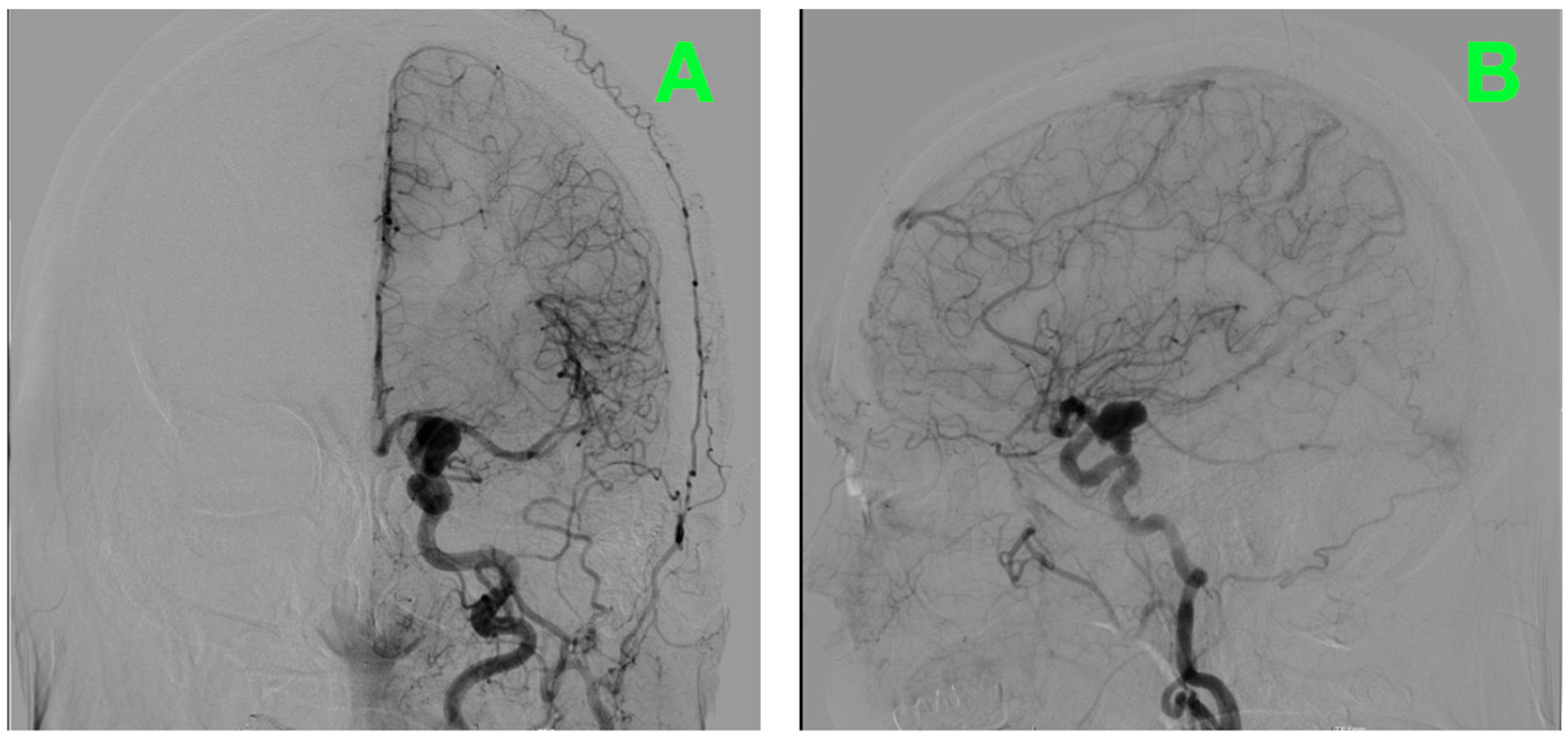 Diagnostics 16 00124 g001 Diagnostics 16 00124 g001