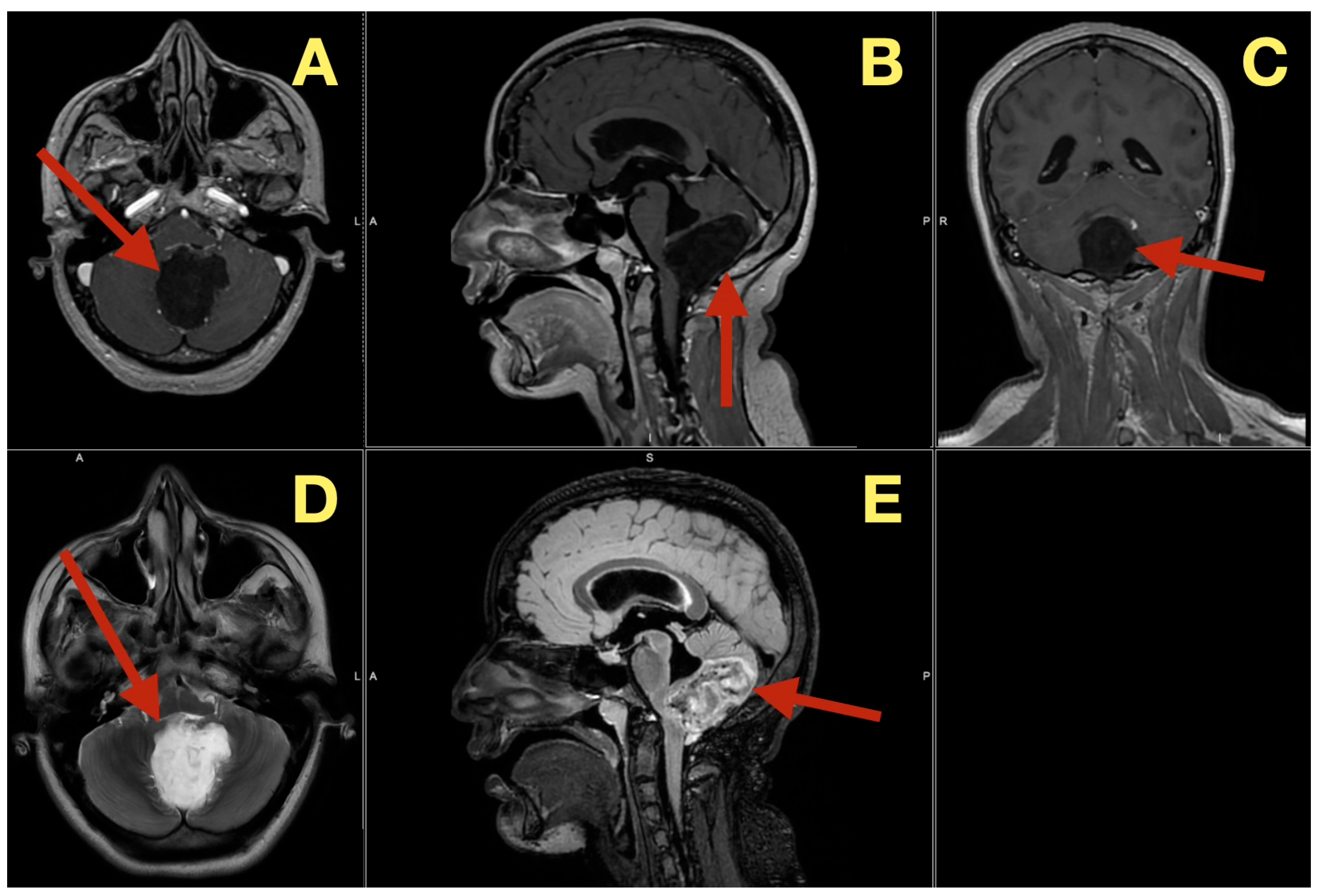 Diagnostics 16 00129 g001 Diagnostics 16 00129 g001