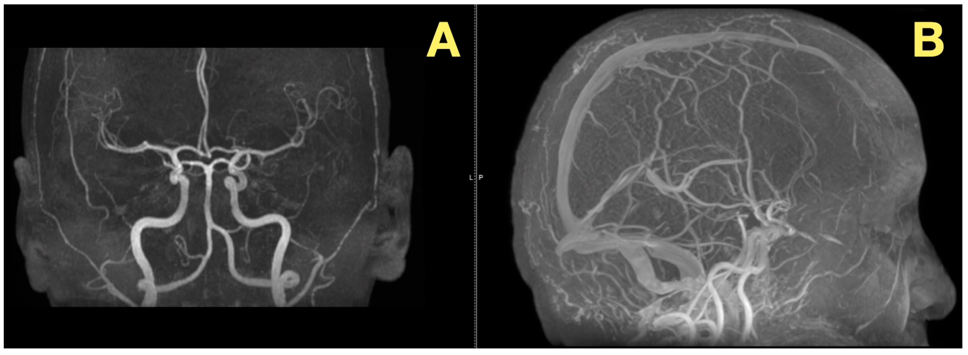Diagnostics 16 00129 g002 Diagnostics 16 00129 g002