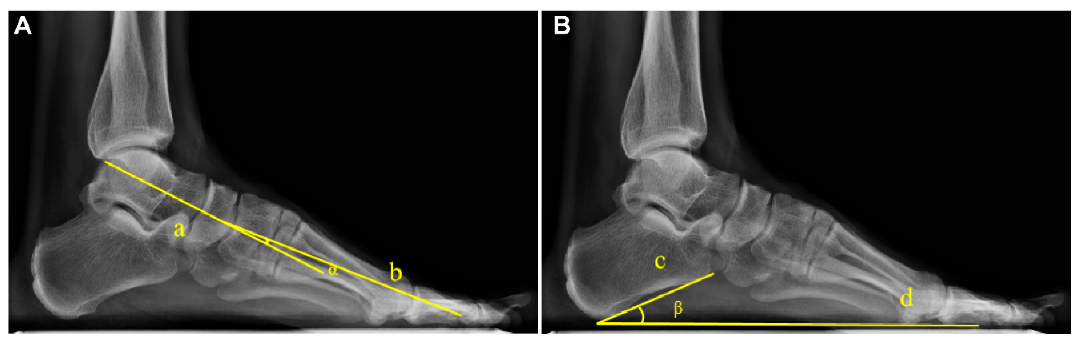Diagnostics 16 00162 g001