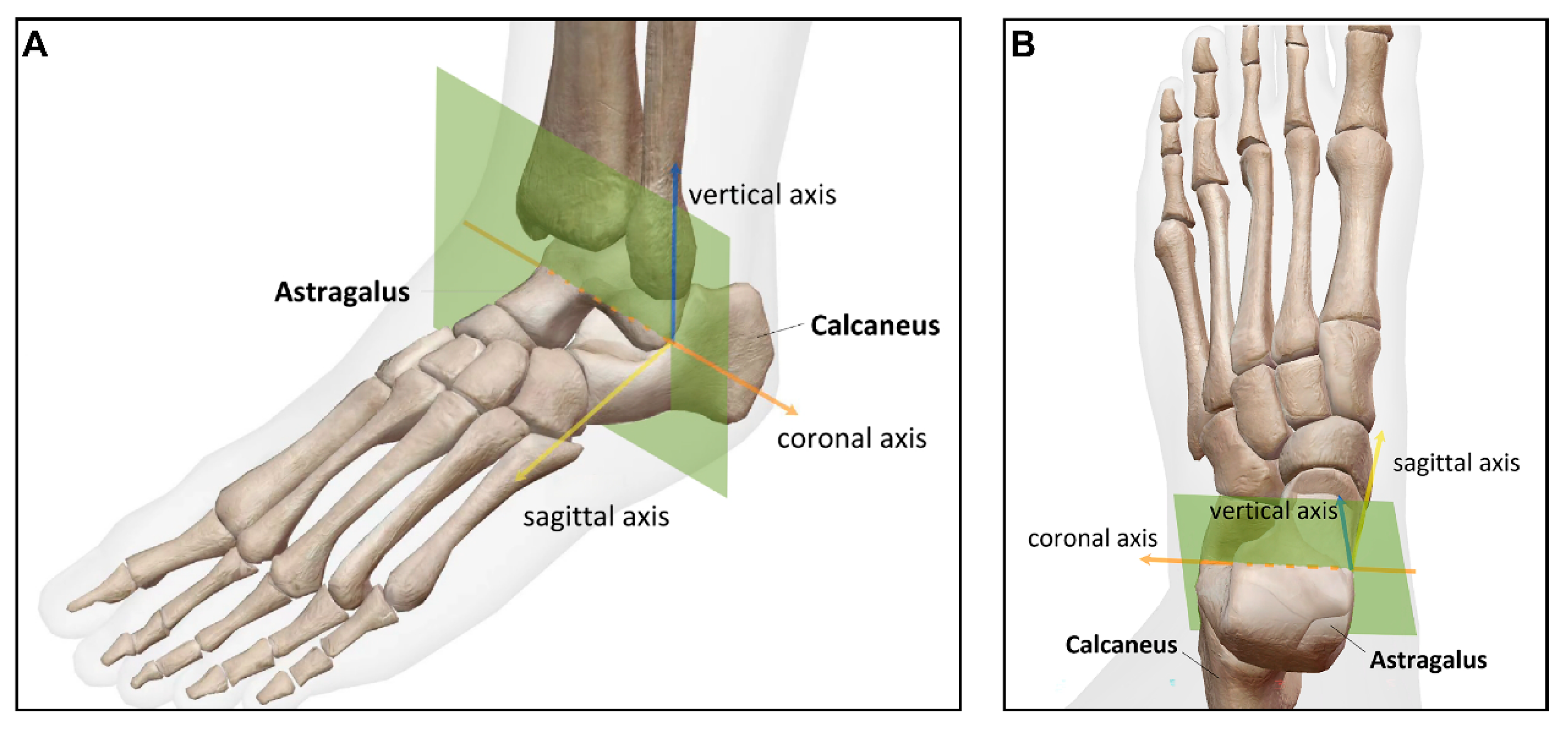 Diagnostics 16 00162 g002