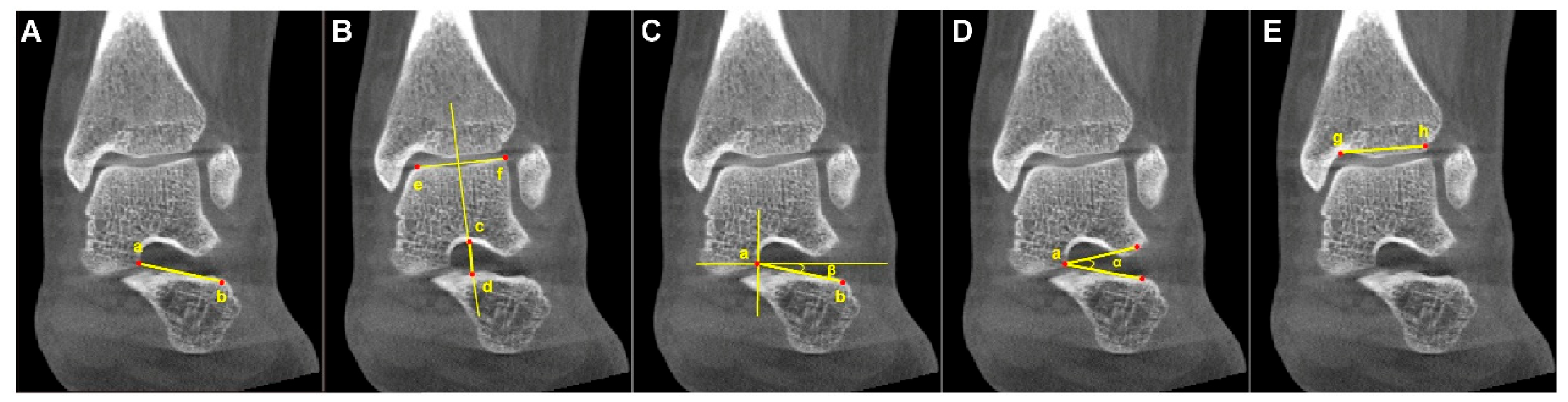 Diagnostics 16 00162 g003