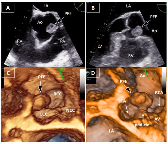 Diagnostics 16 00168 g002