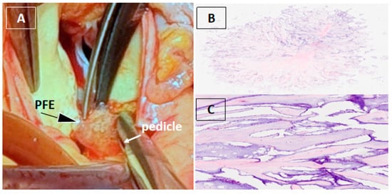 Diagnostics 16 00168 g003