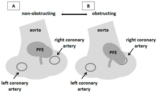 Diagnostics 16 00168 g004