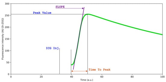 Diagnostics 16 00176 g001