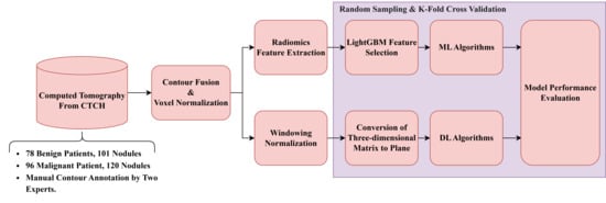 Diagnostics 16 00186 g002