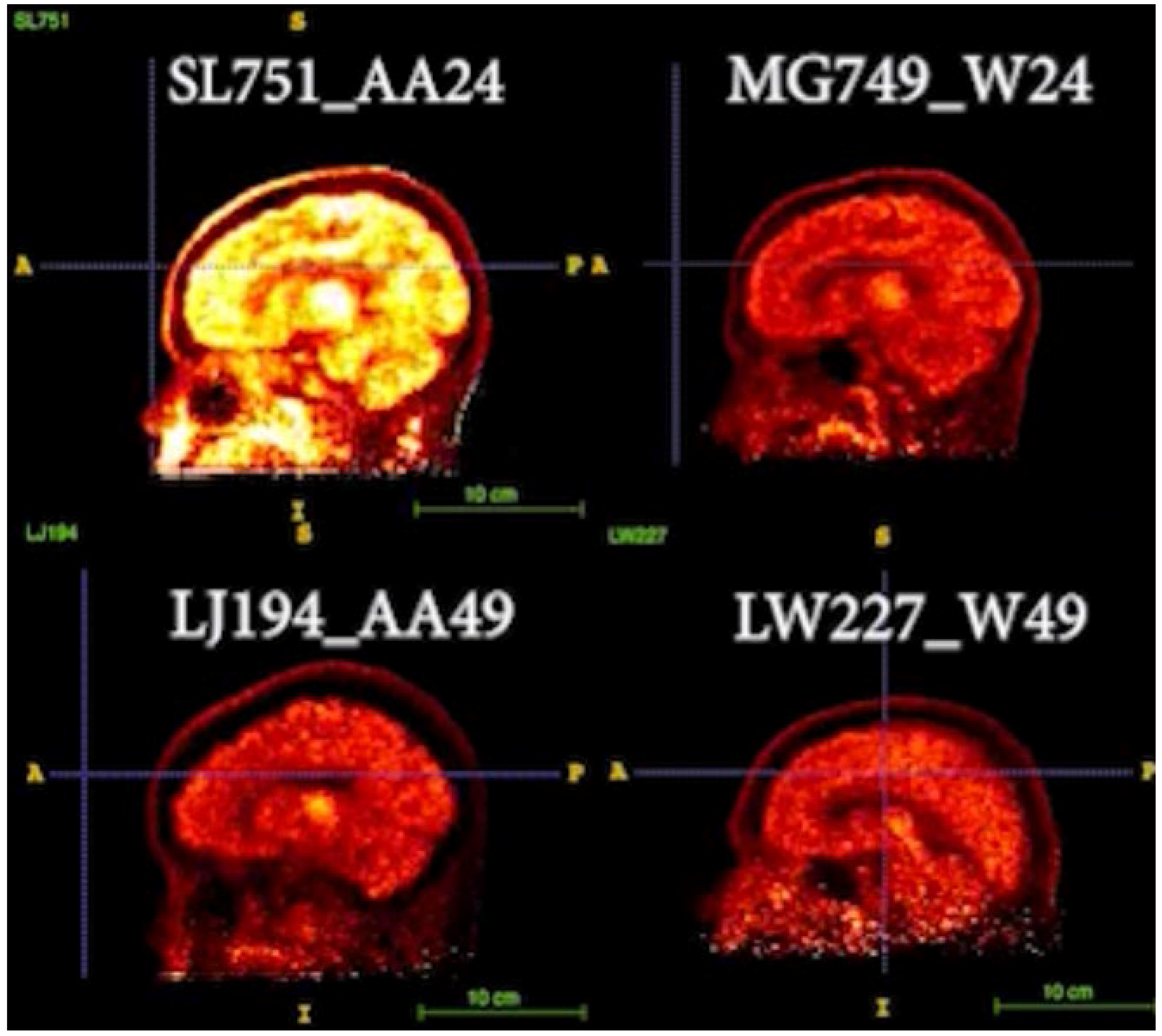 Diagnostics 16 00190 g004
