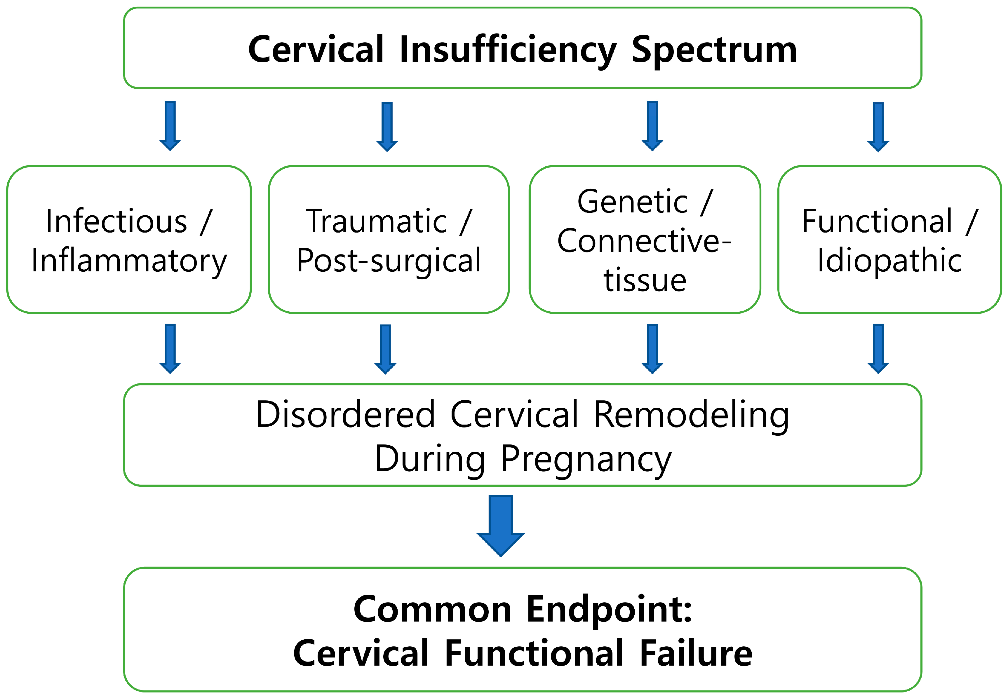 Diagnostics 16 00191 g001