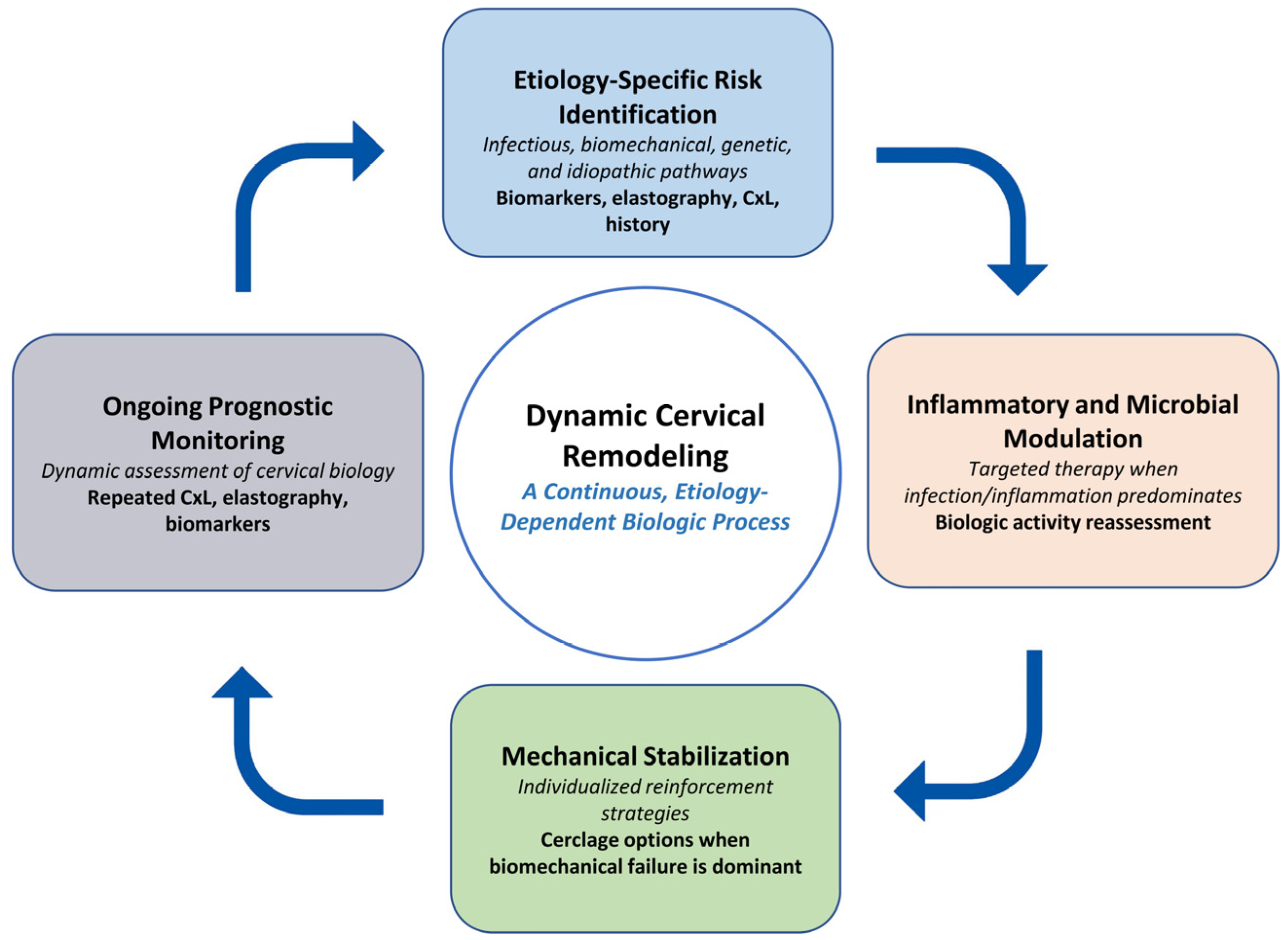 Diagnostics 16 00191 g003