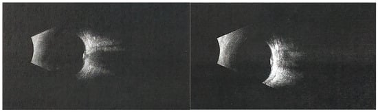 Diagnostics 16 00193 g002