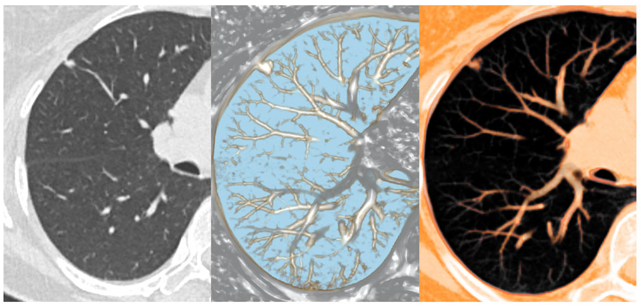 Diagnostics 16 00220 g002 Diagnostics 16 00220 g002