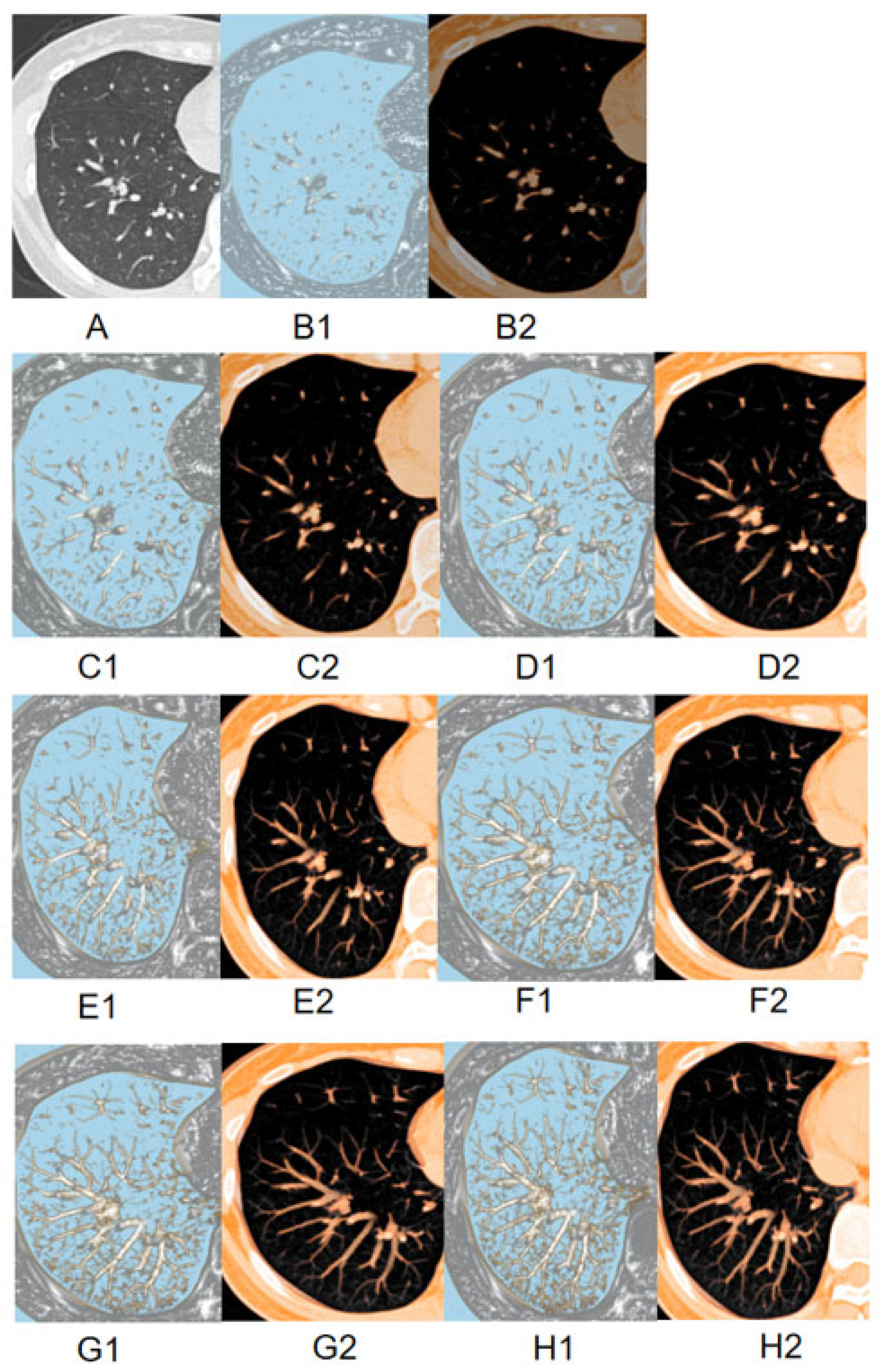 Diagnostics 16 00220 g003 Diagnostics 16 00220 g003