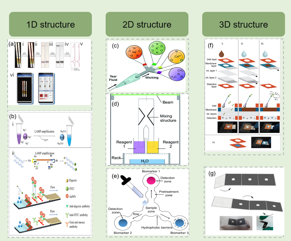 Paper-Based Microfluidic Chips for At-Home Point-of-Care Nucleic Acid ...