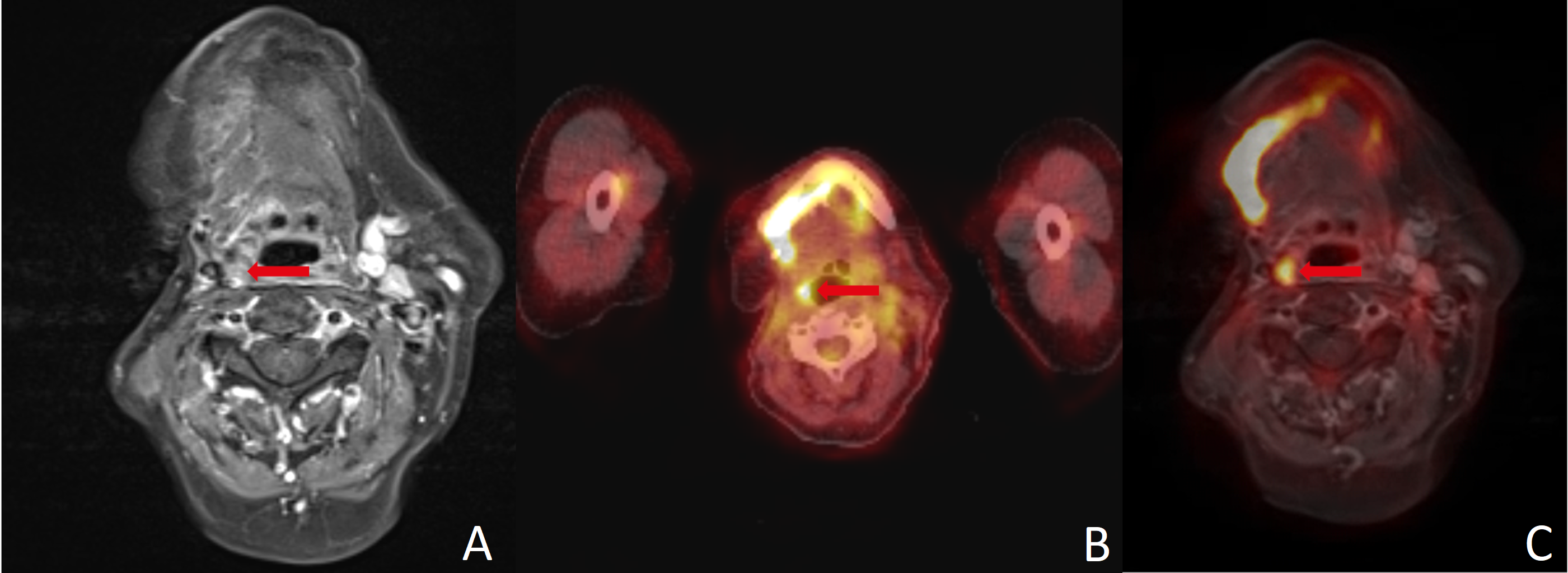 Diagnostics 16 00252 g002