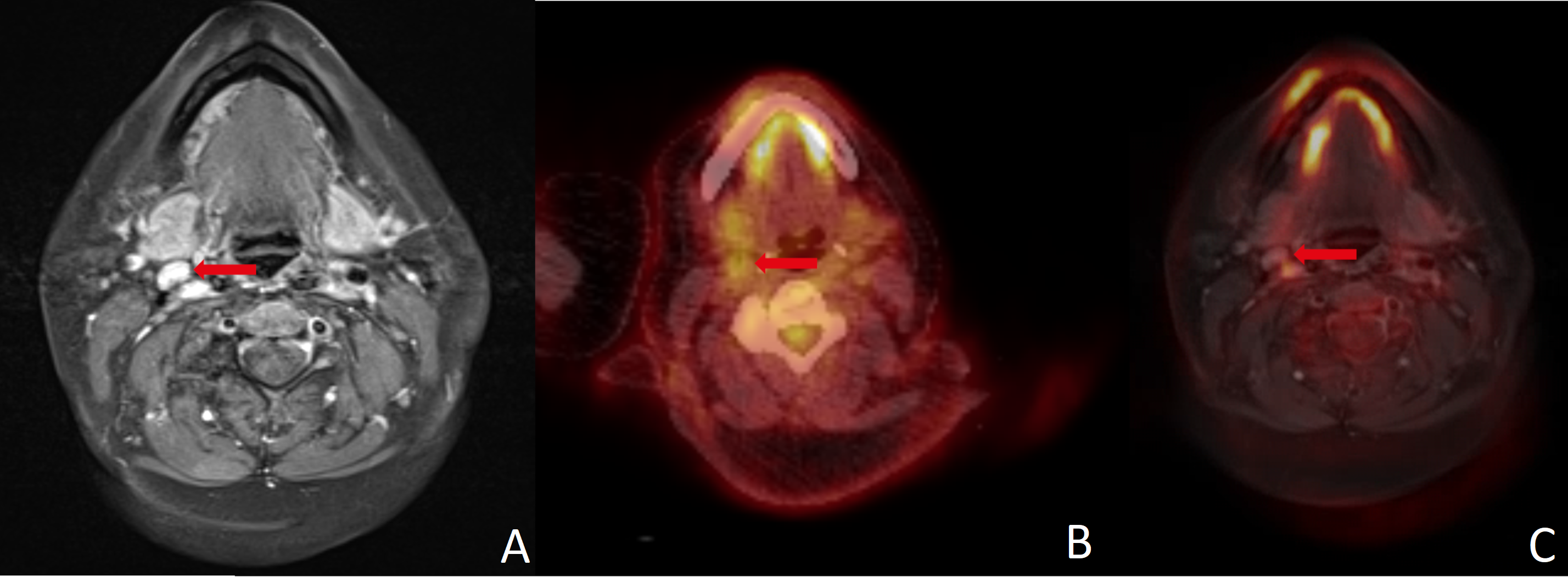 Diagnostics 16 00252 g003