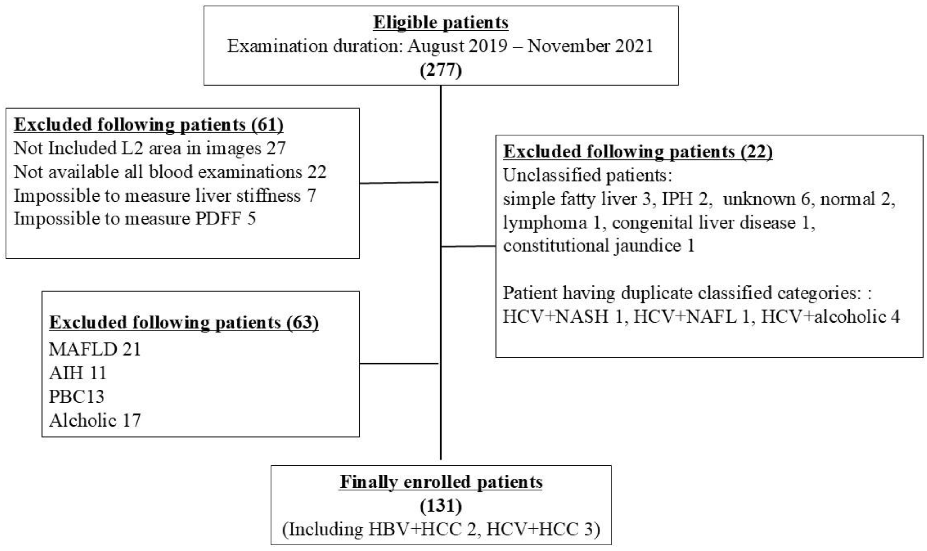 Diagnostics 16 00306 g001
