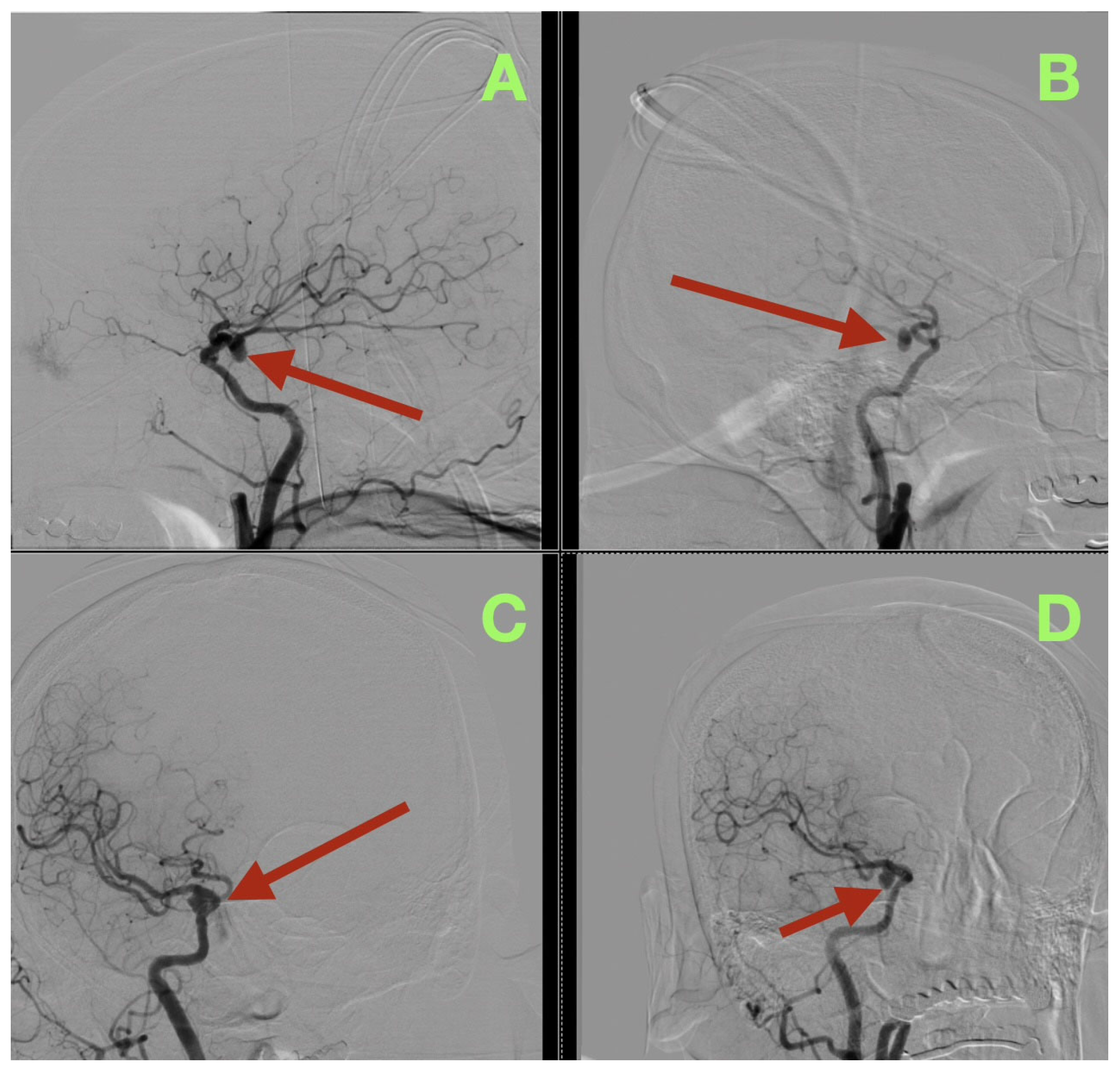 Diagnostics 16 00307 g001 Diagnostics 16 00307 g001