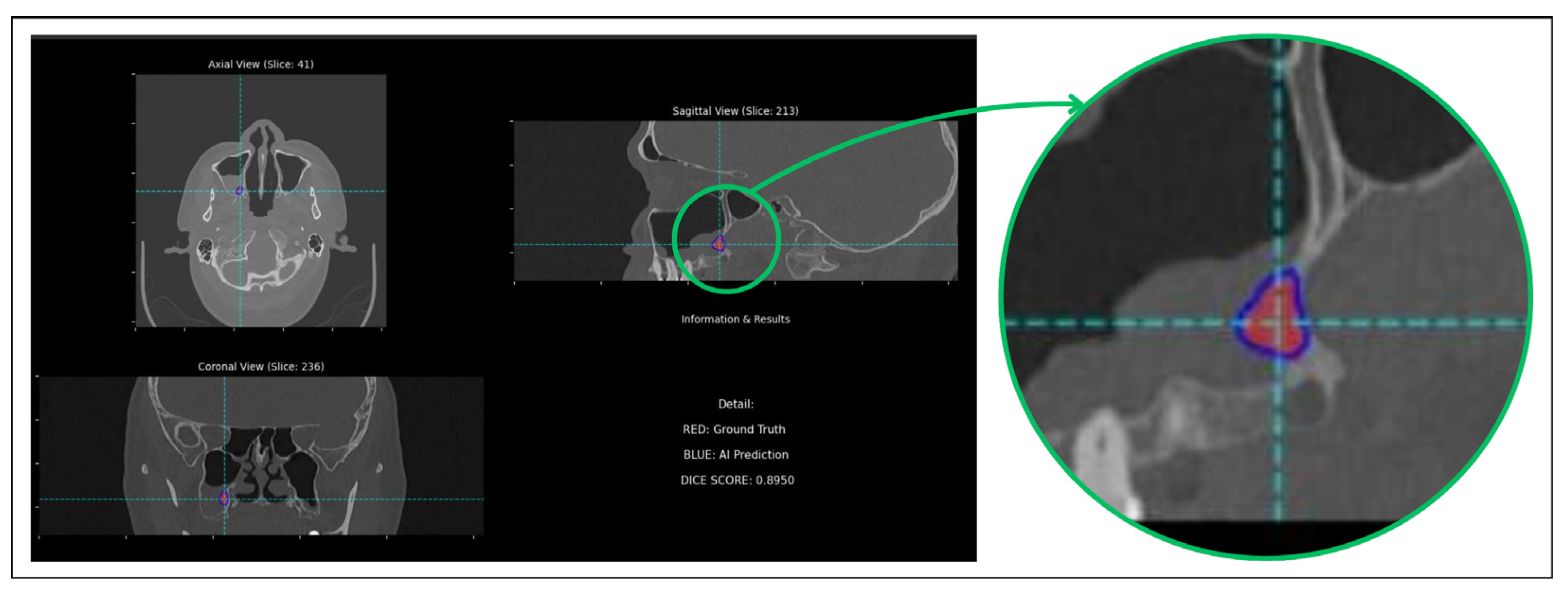 Diagnostics 16 00311 g005