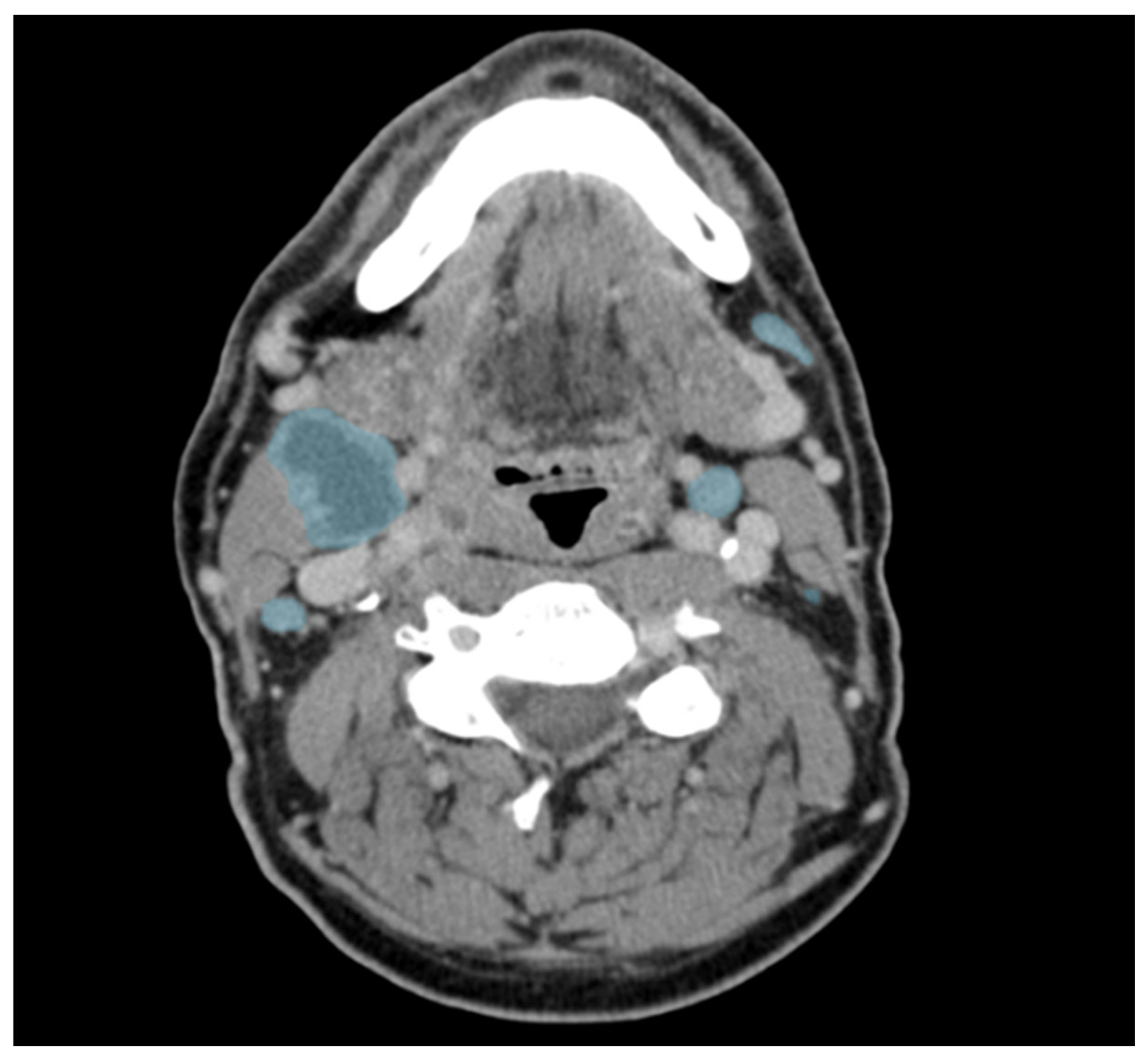Diagnostics 16 00355 g002