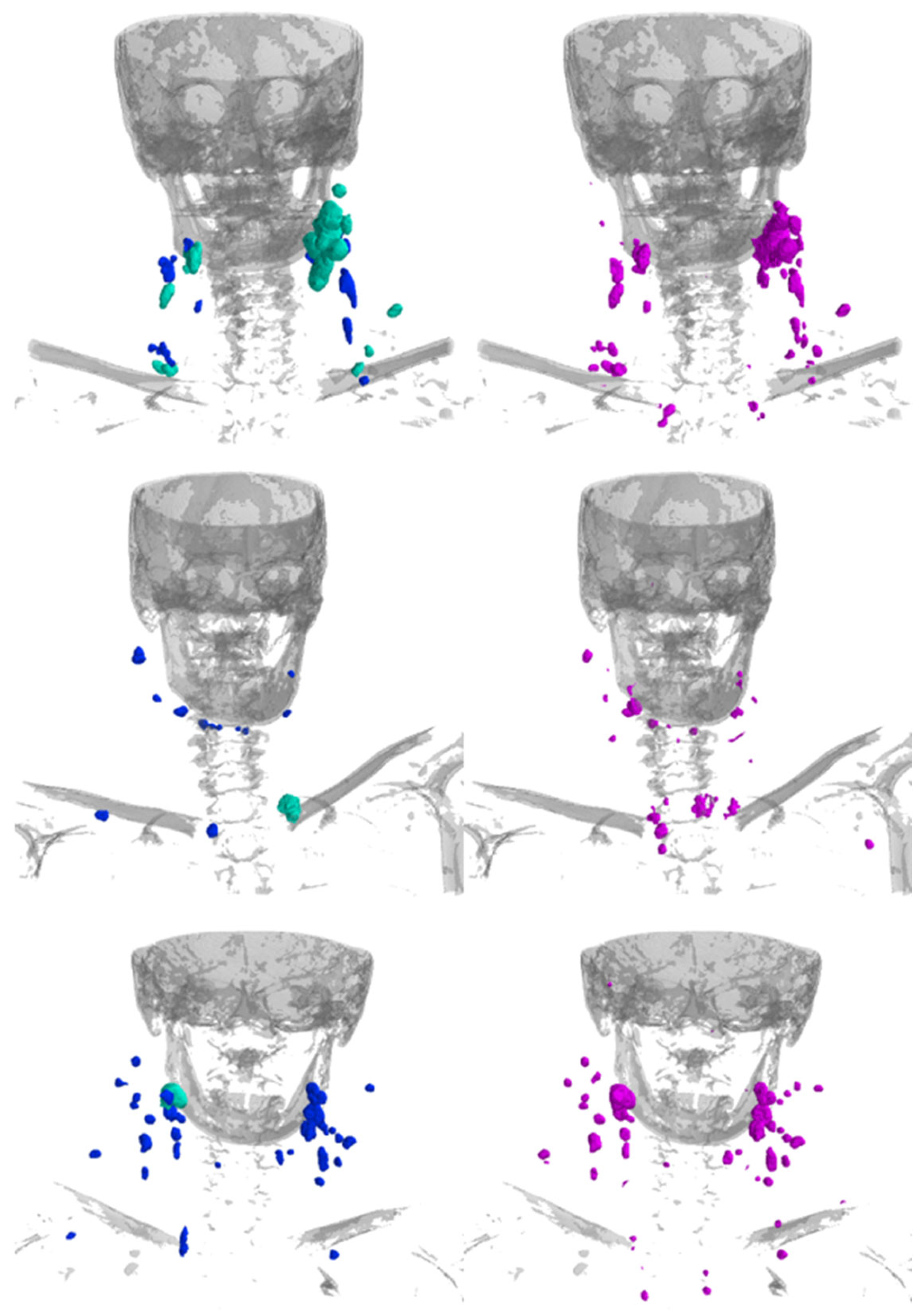 Diagnostics 16 00355 g004