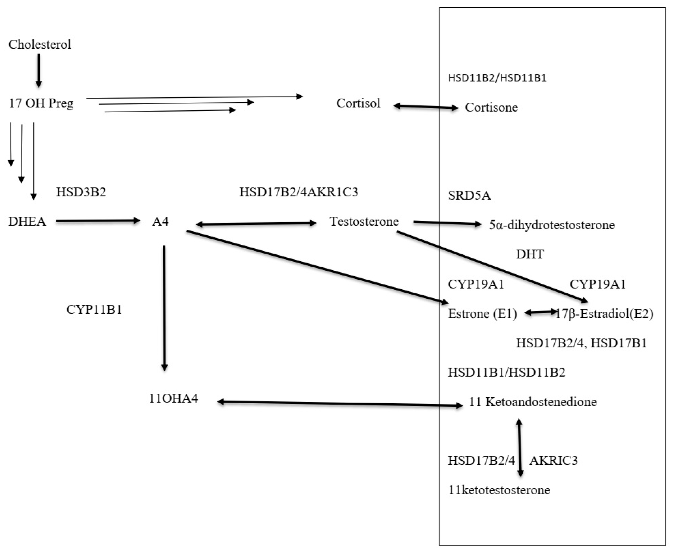 Diagnostics 16 00381 g003
