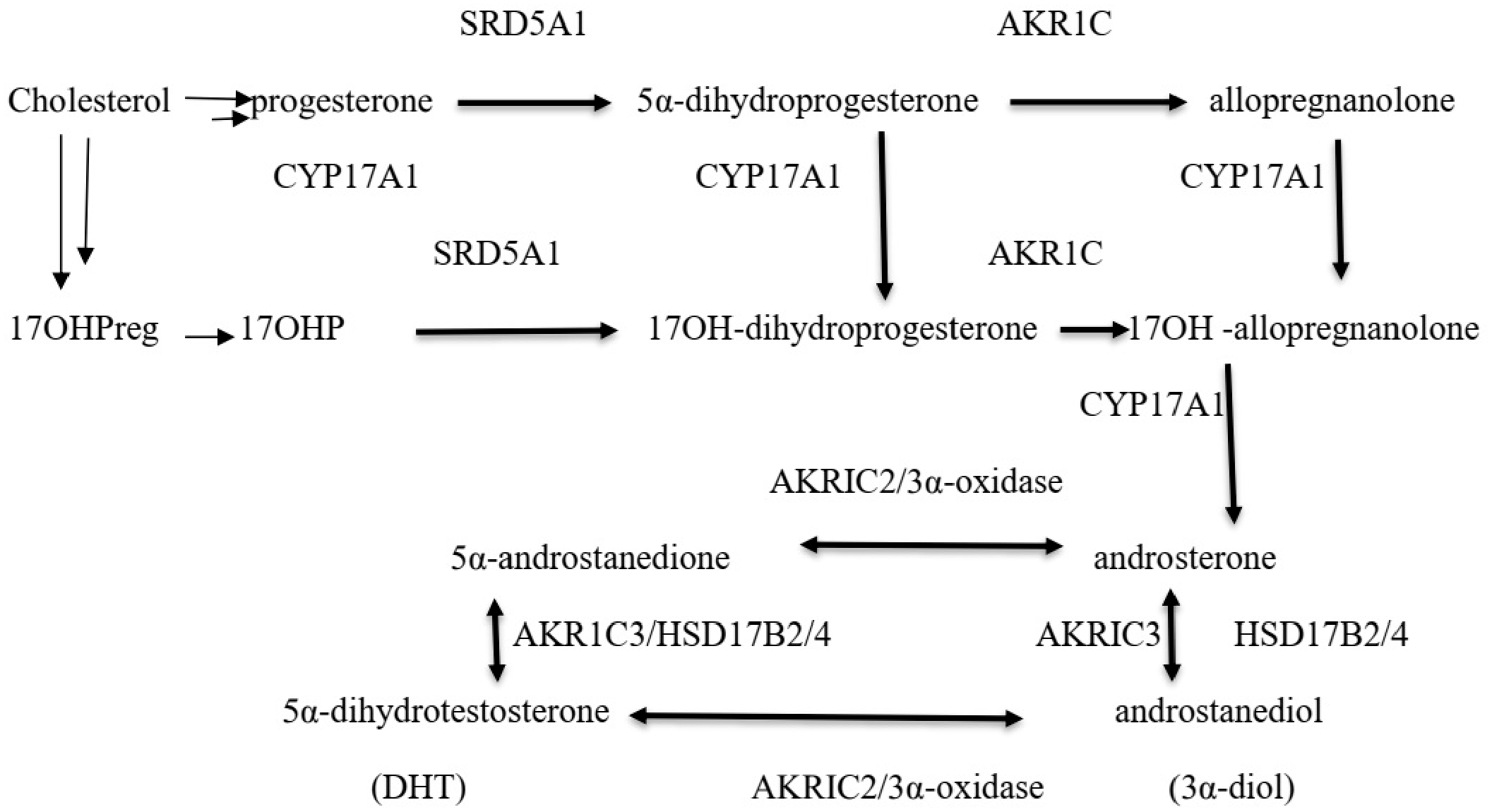 Diagnostics 16 00381 g004