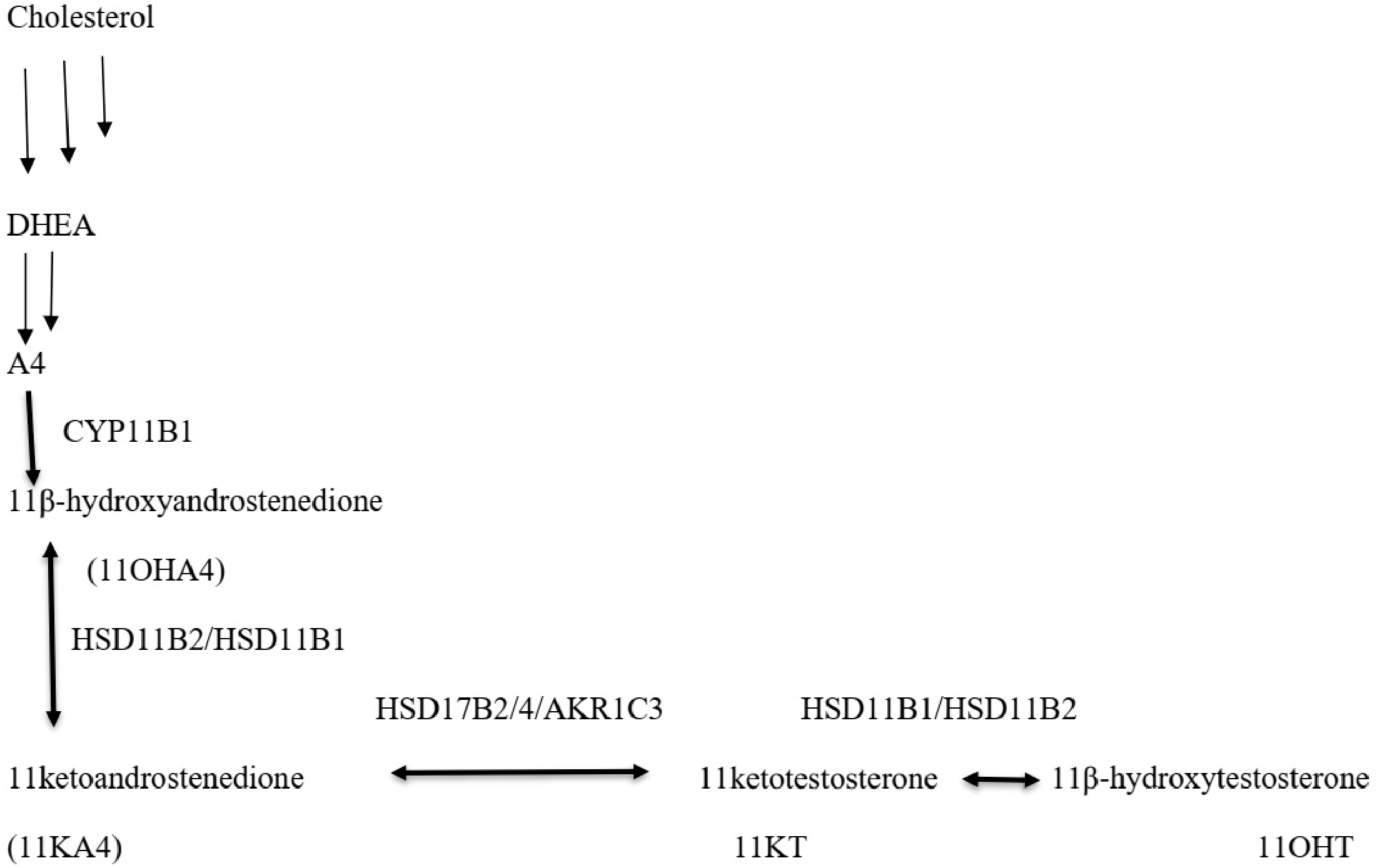 Diagnostics 16 00381 g005