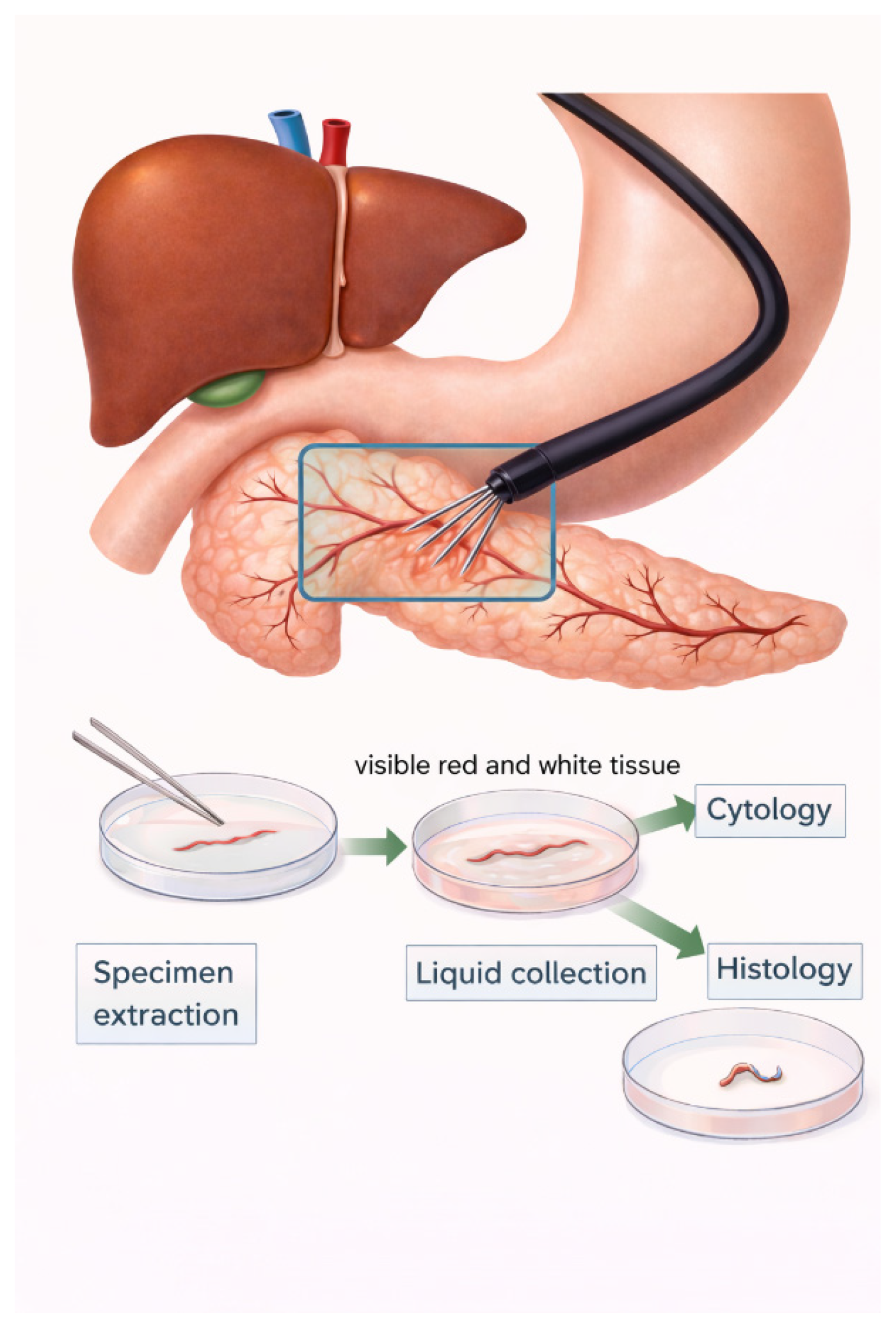 Diagnostics 16 00397 g001 Diagnostics 16 00397 g001