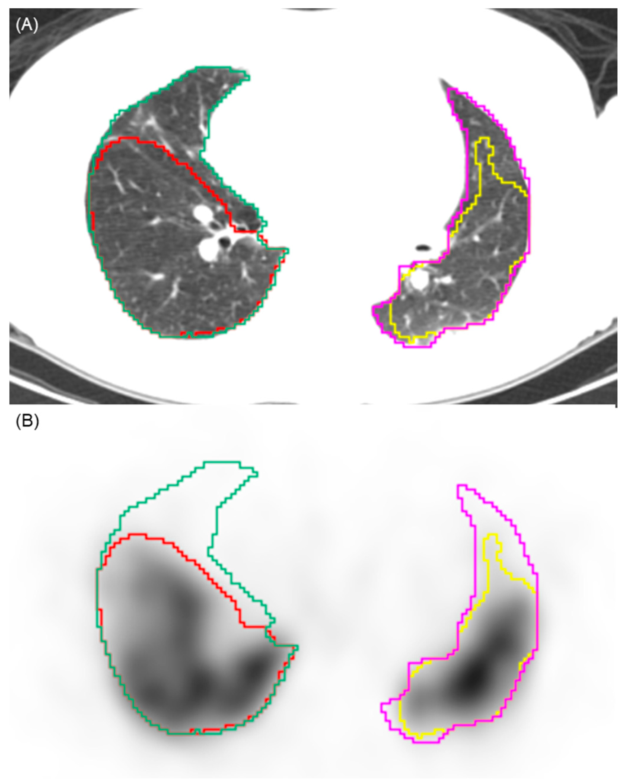 Diagnostics 16 00413 g001 Diagnostics 16 00413 g001