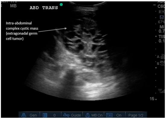 Diagnostics 16 00418 g006