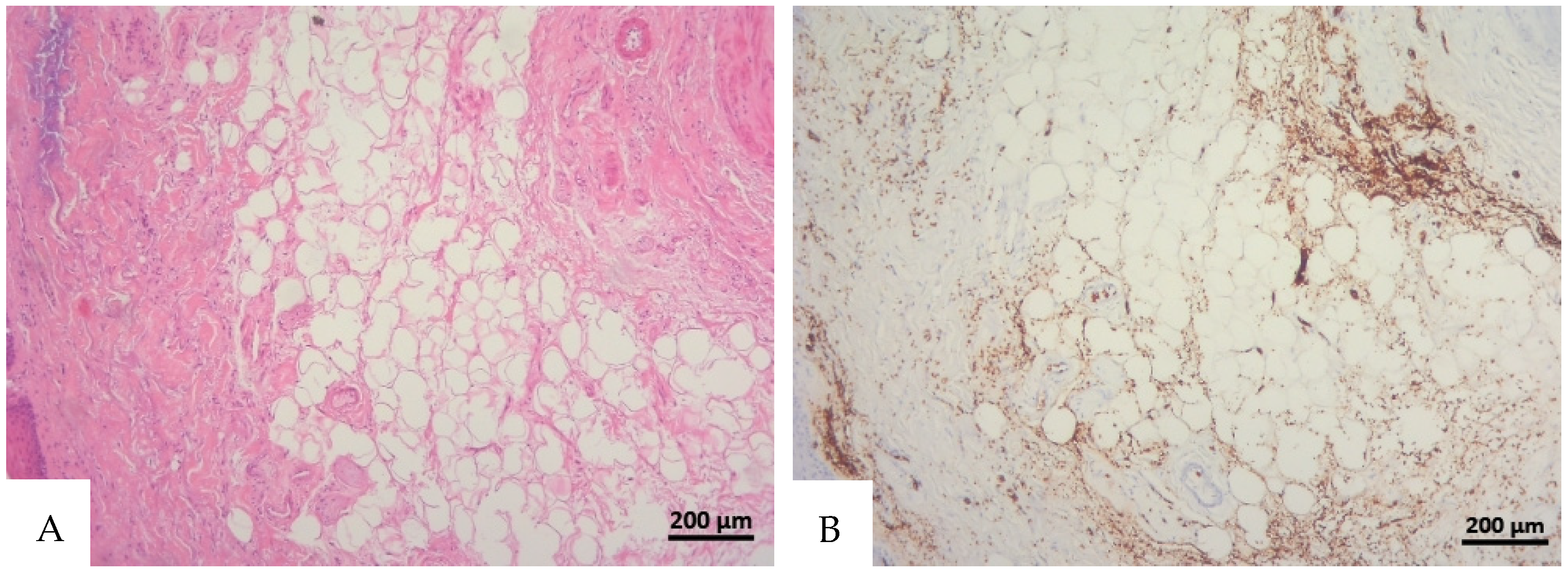 Diagnostics 16 00419 g001 Diagnostics 16 00419 g001