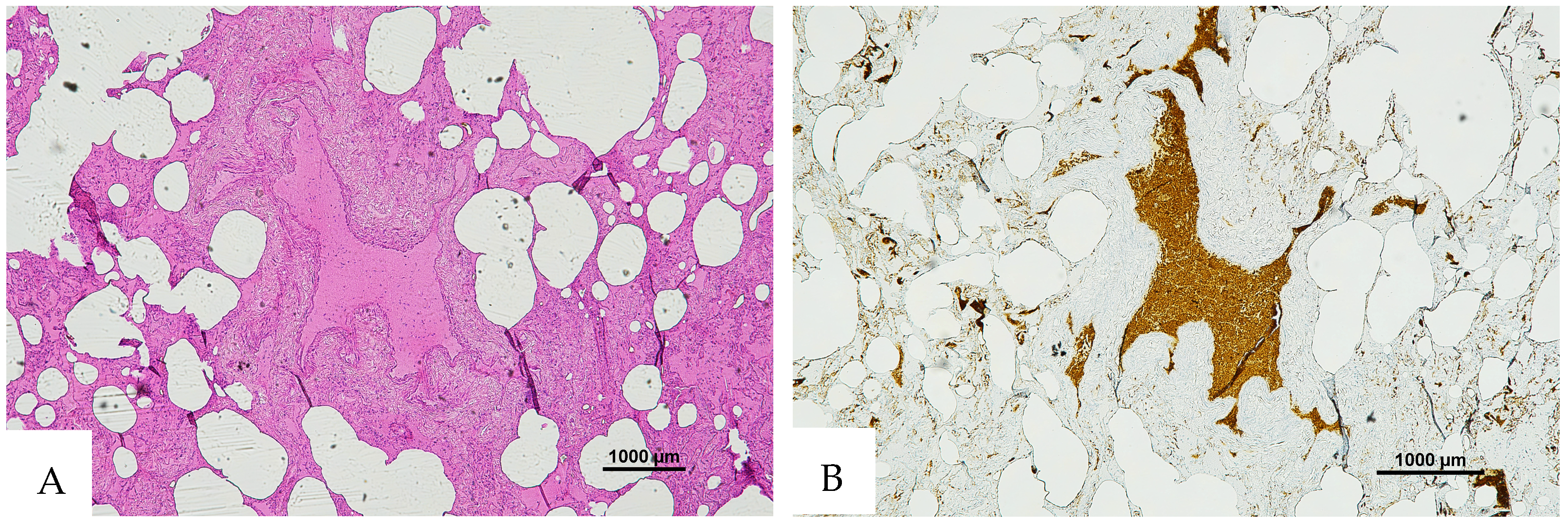 Diagnostics 16 00419 g002 Diagnostics 16 00419 g002