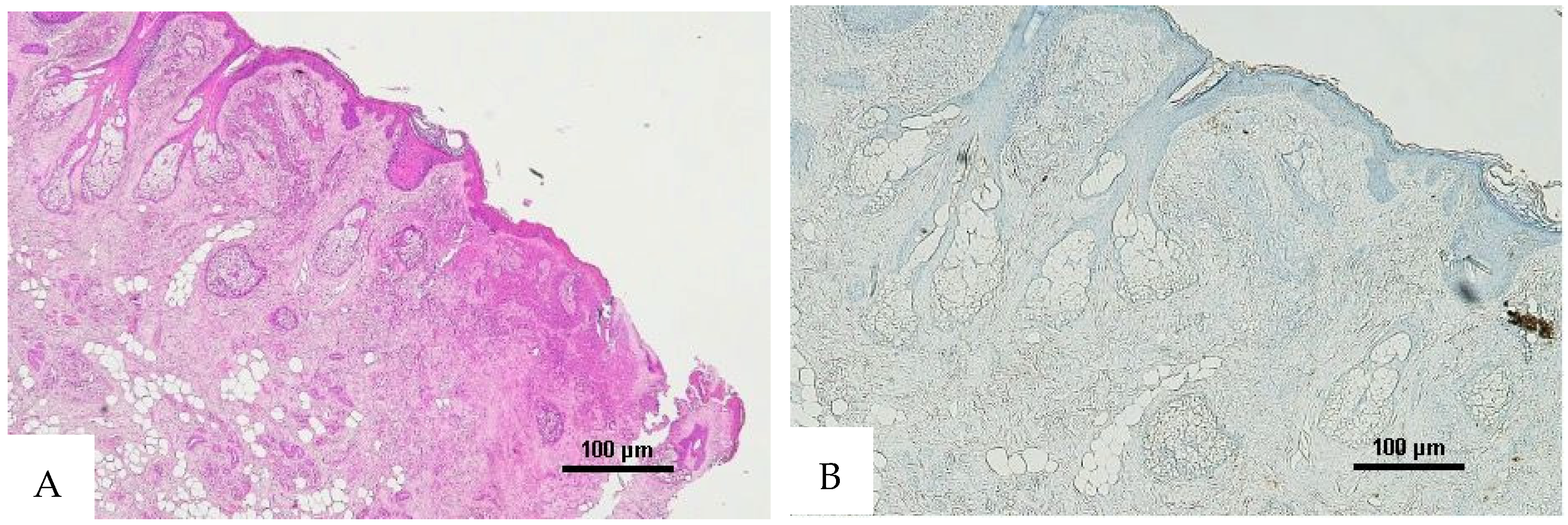 Diagnostics 16 00419 g004 Diagnostics 16 00419 g004