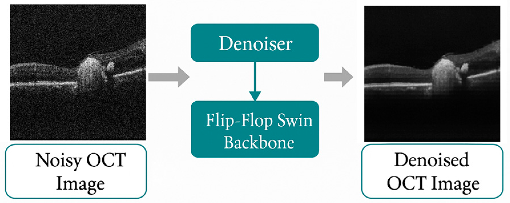 Diagnostics 16 00420 g001 Diagnostics 16 00420 g001